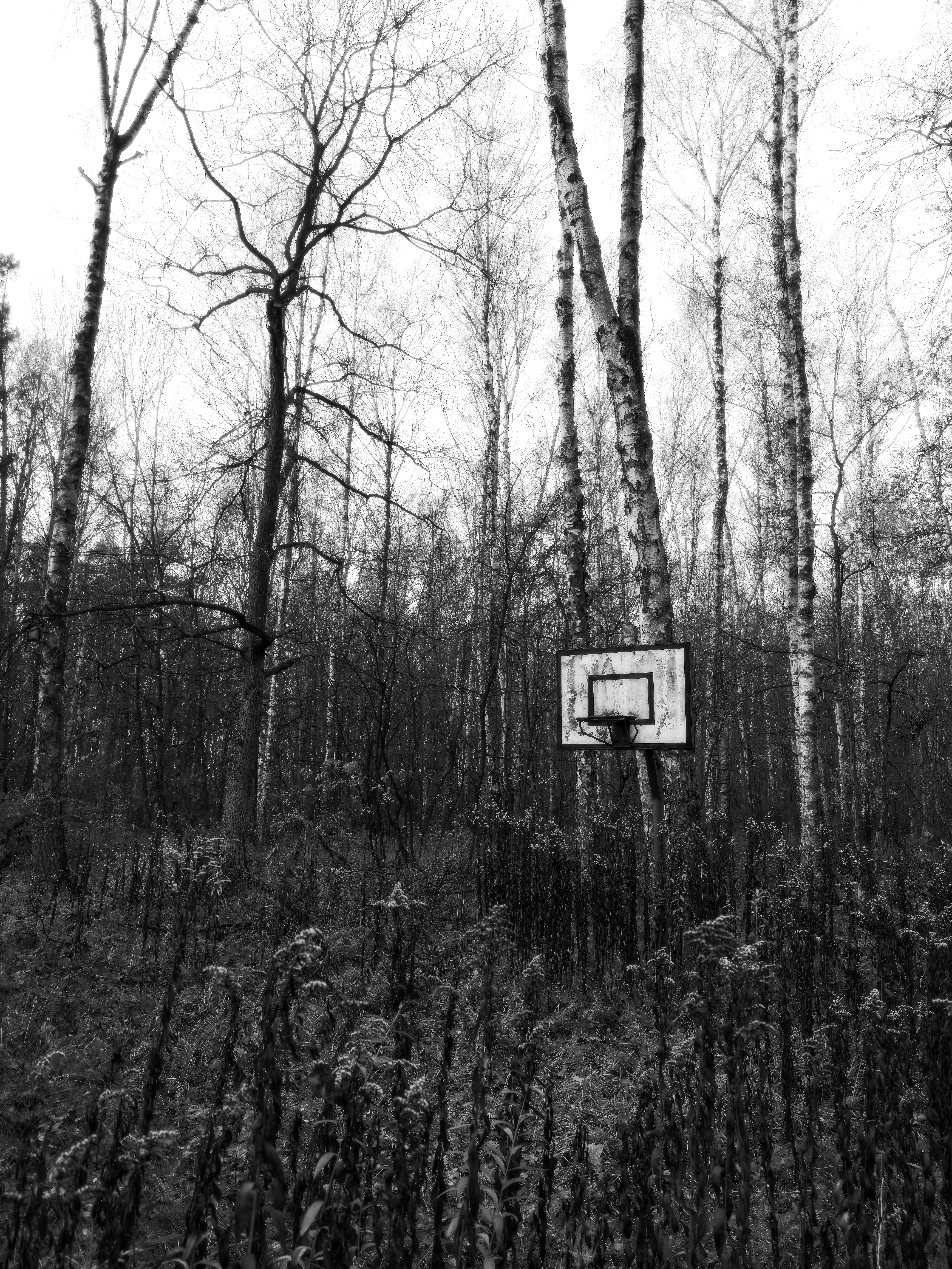 abandoned play ground in Las Kabacki, Warsaw