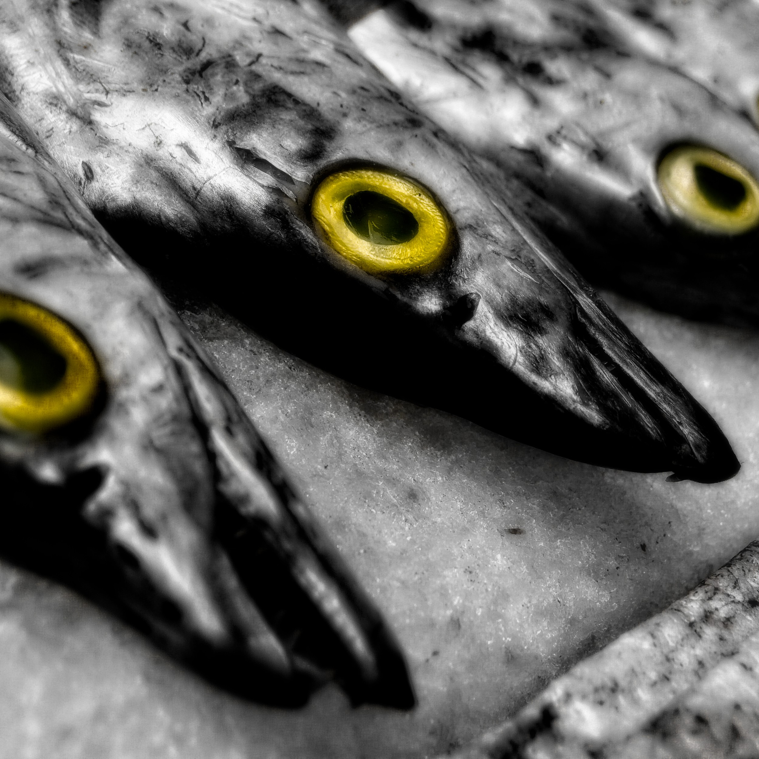 market scene, Shanghai