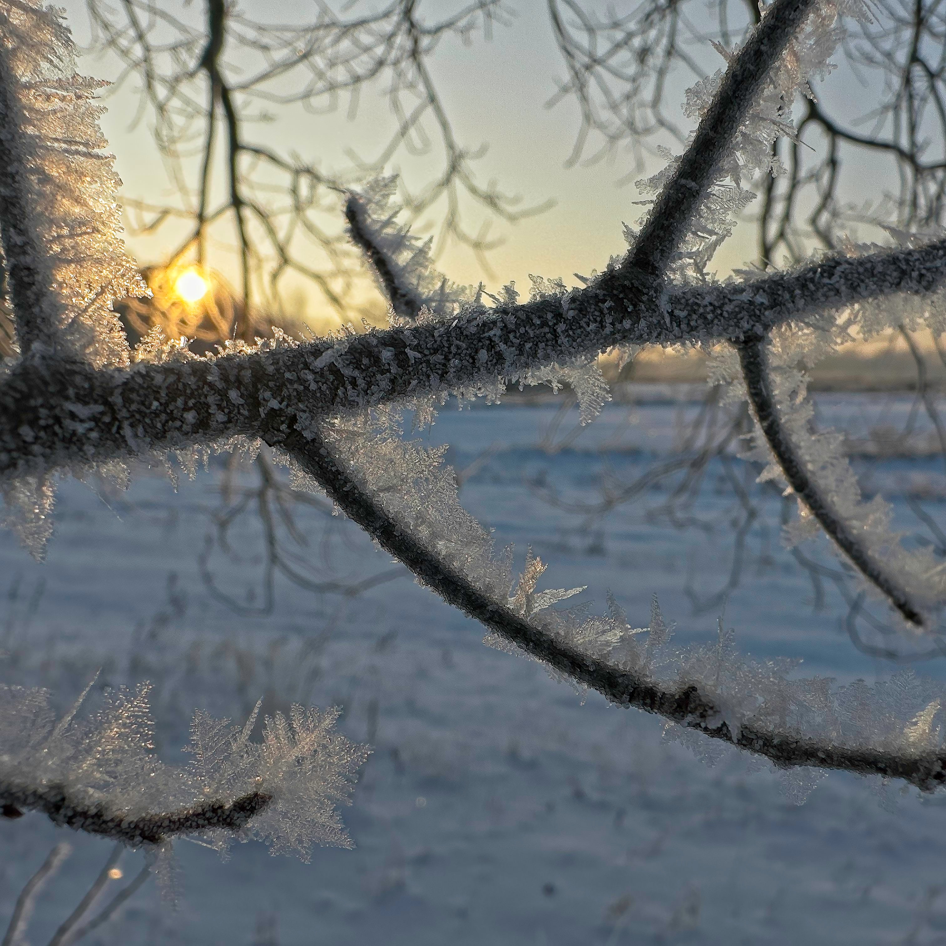 sunrise after a foggy night with a temperature drop to minus 13 °C