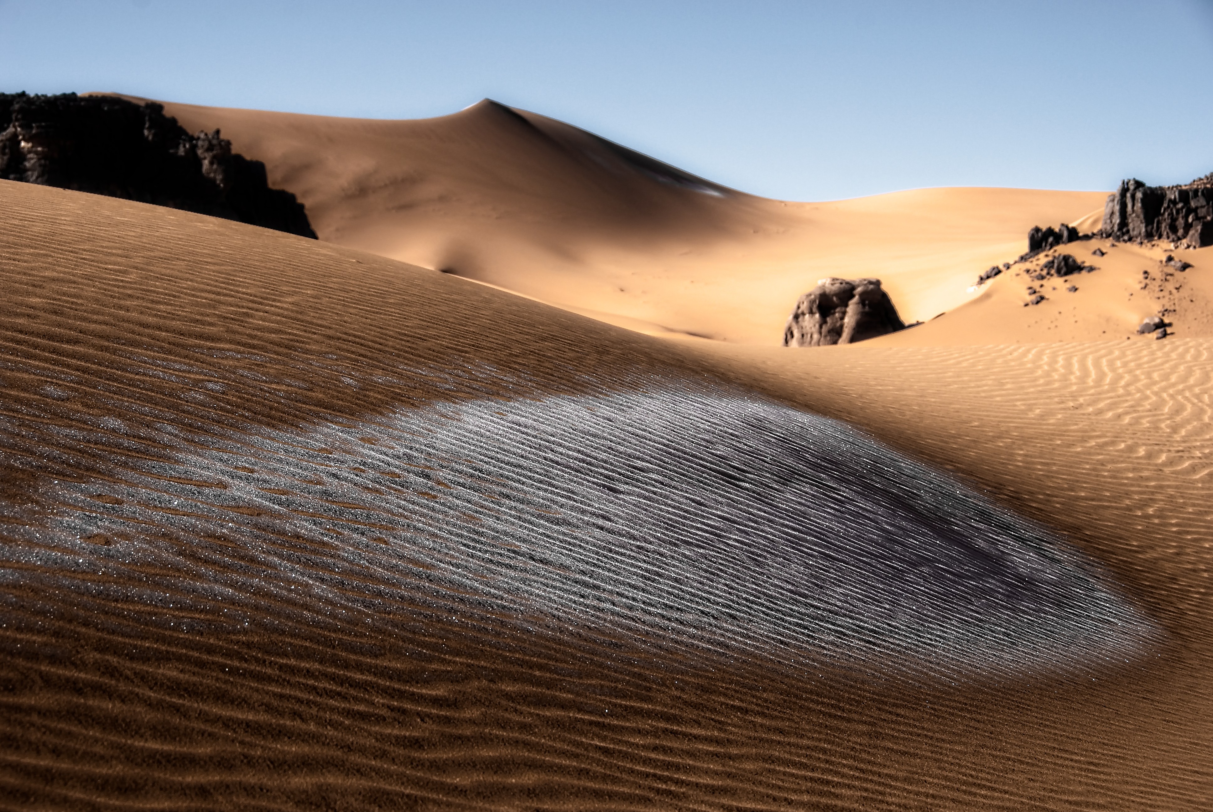 morning scene in Algerian desert