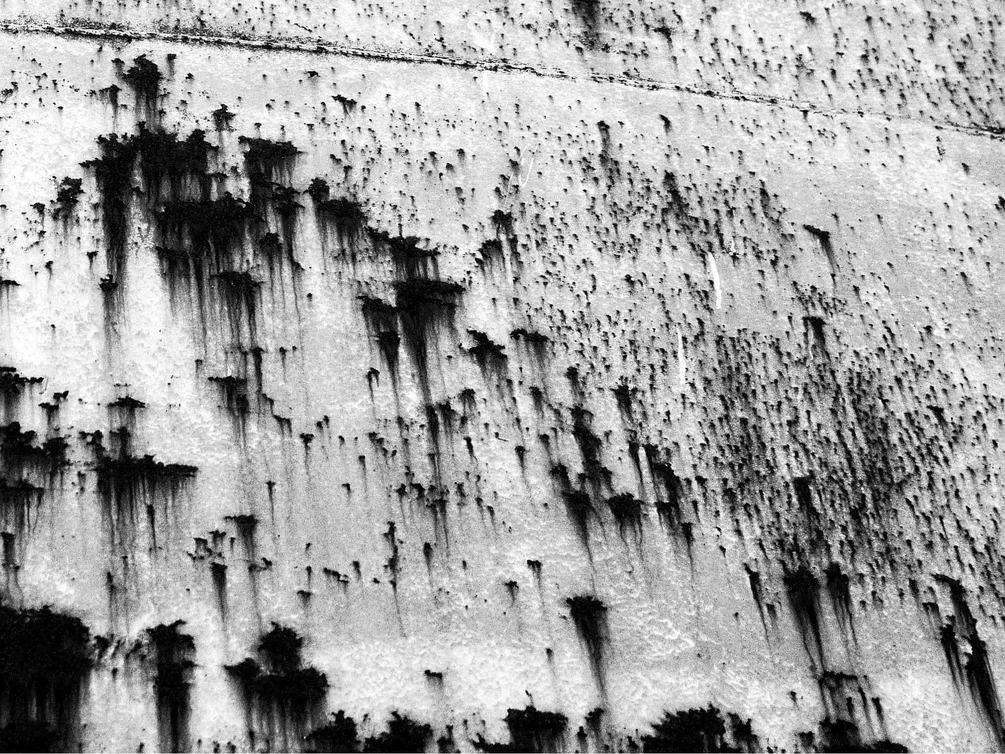 silo wall, former sugar factory, Pelplin, Poland (2015)