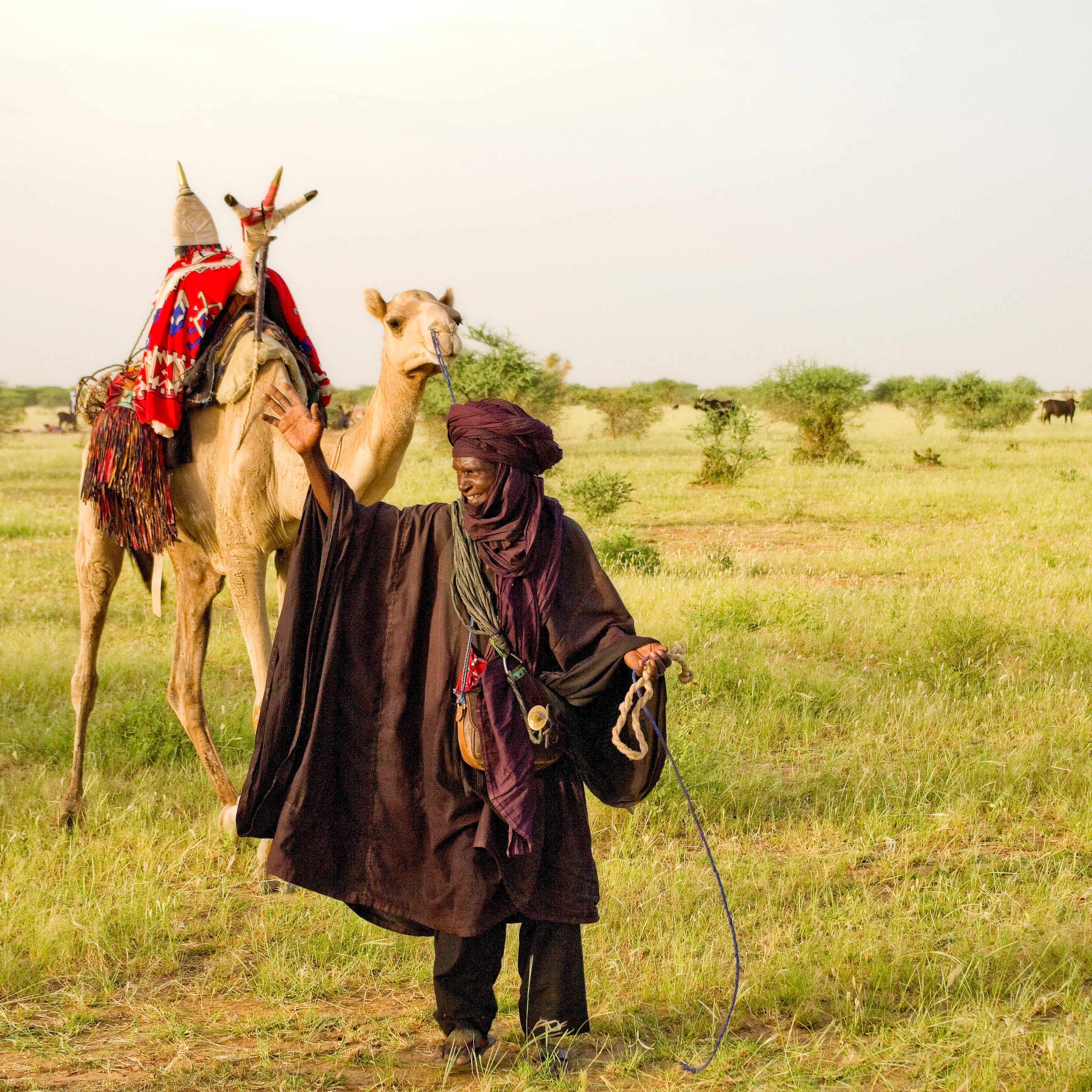 Wodabees’ Guérewol festivity, 2009