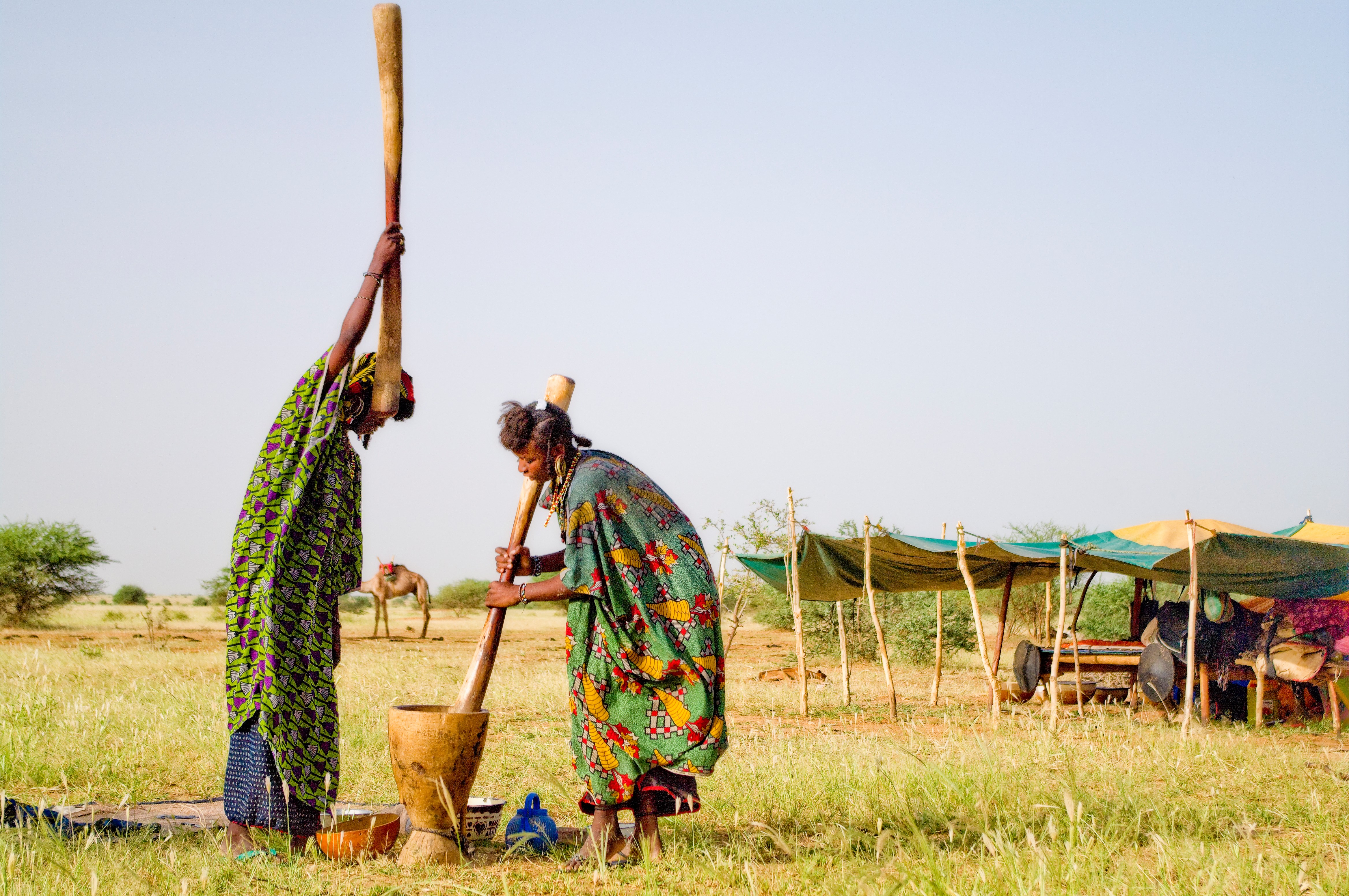 Wodabees’ Guérewol festivity, 2009