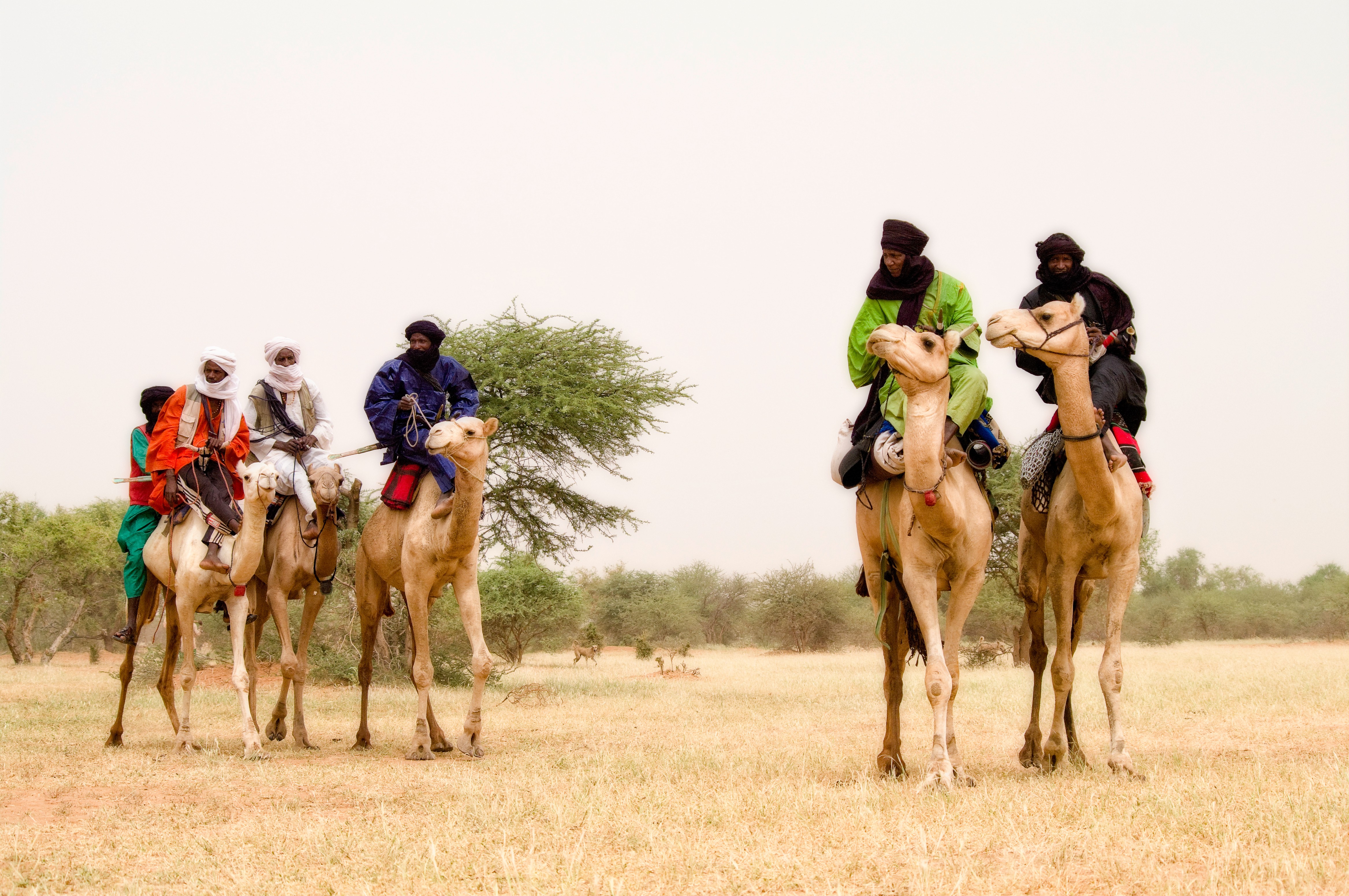 Wodabees’ Guérewol festivity, 2009