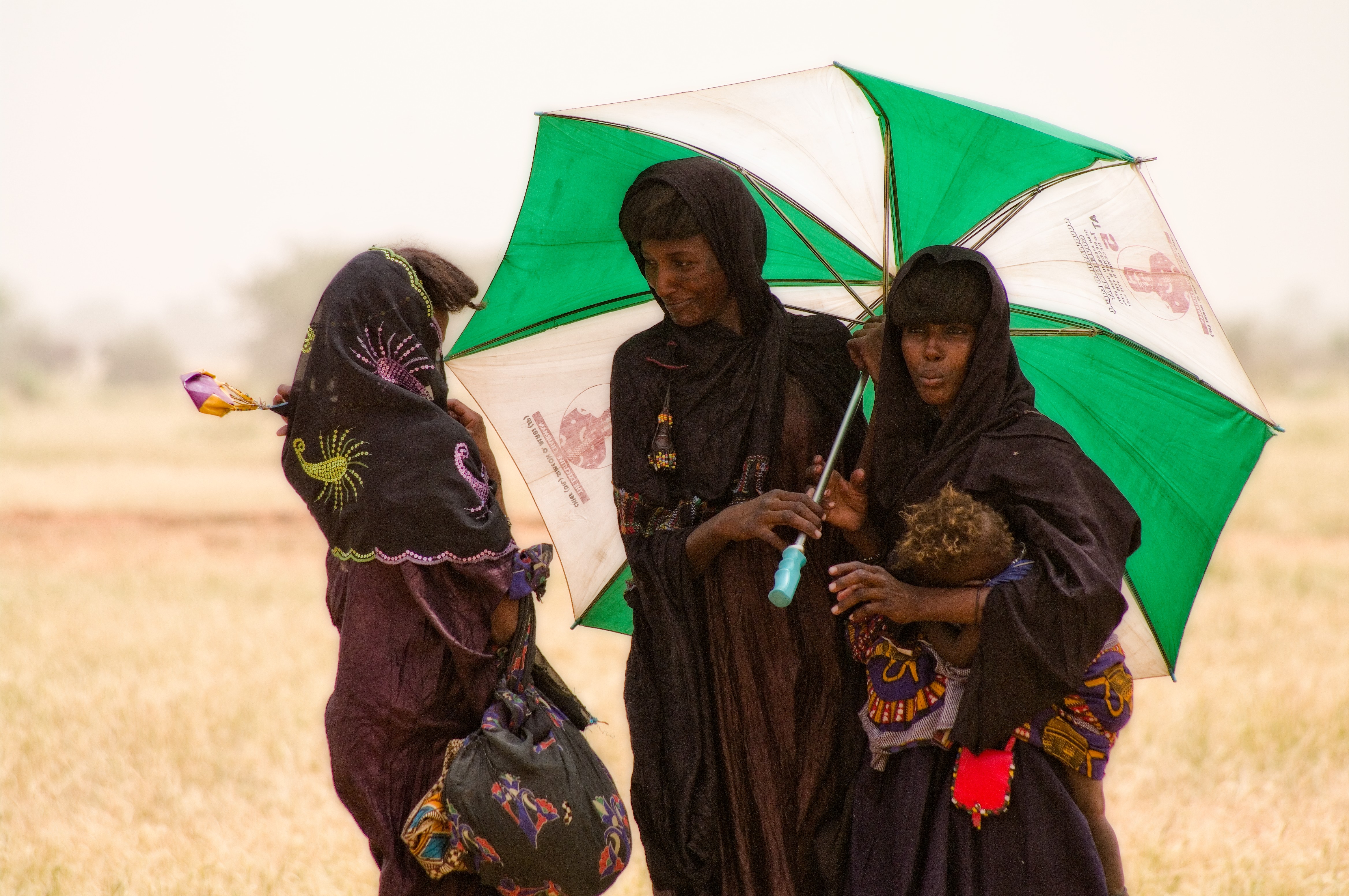 Wodabees’ Guérewol festivity, 2009