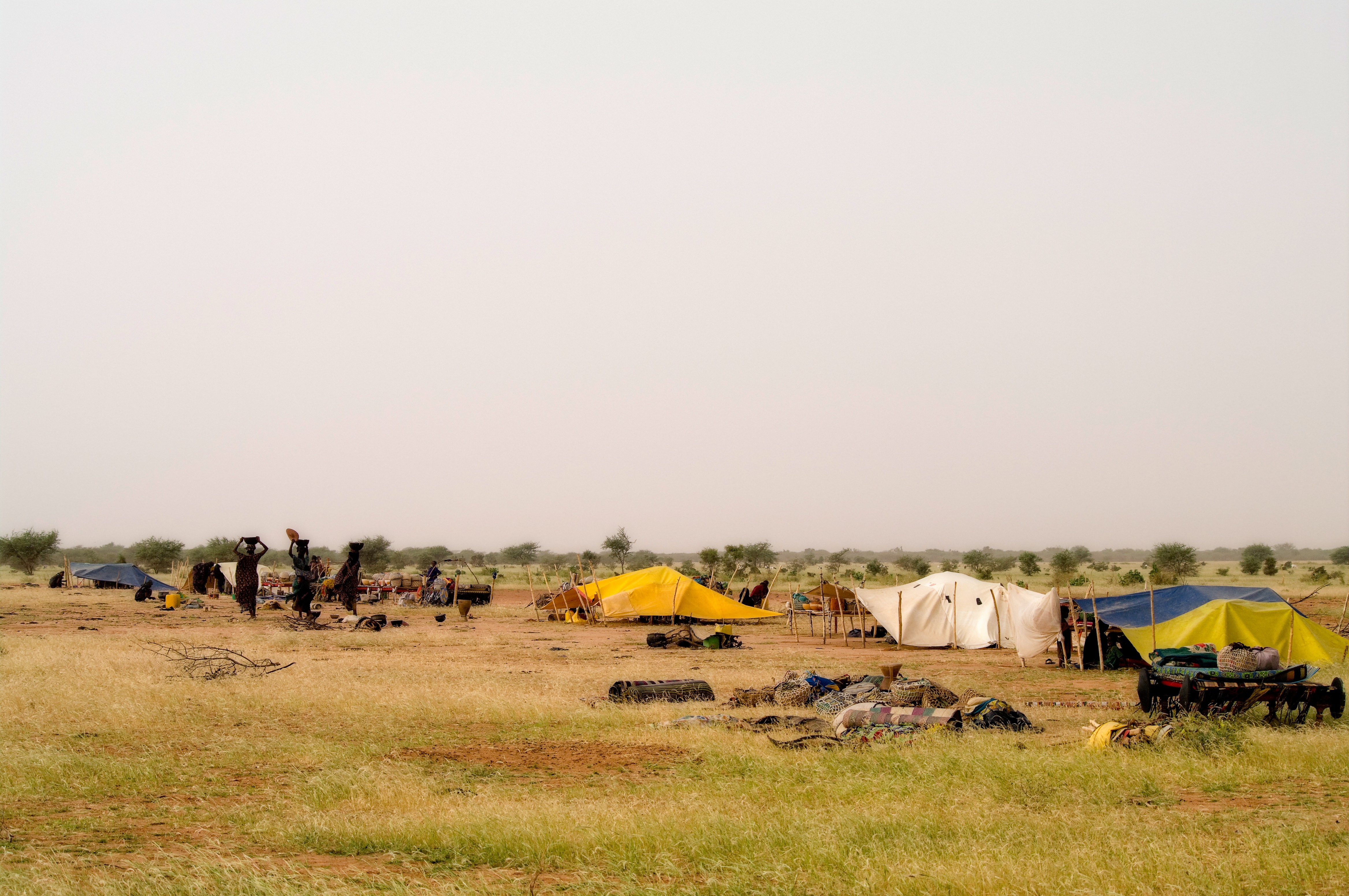Wodabees’ Guérewol festivity, 2009