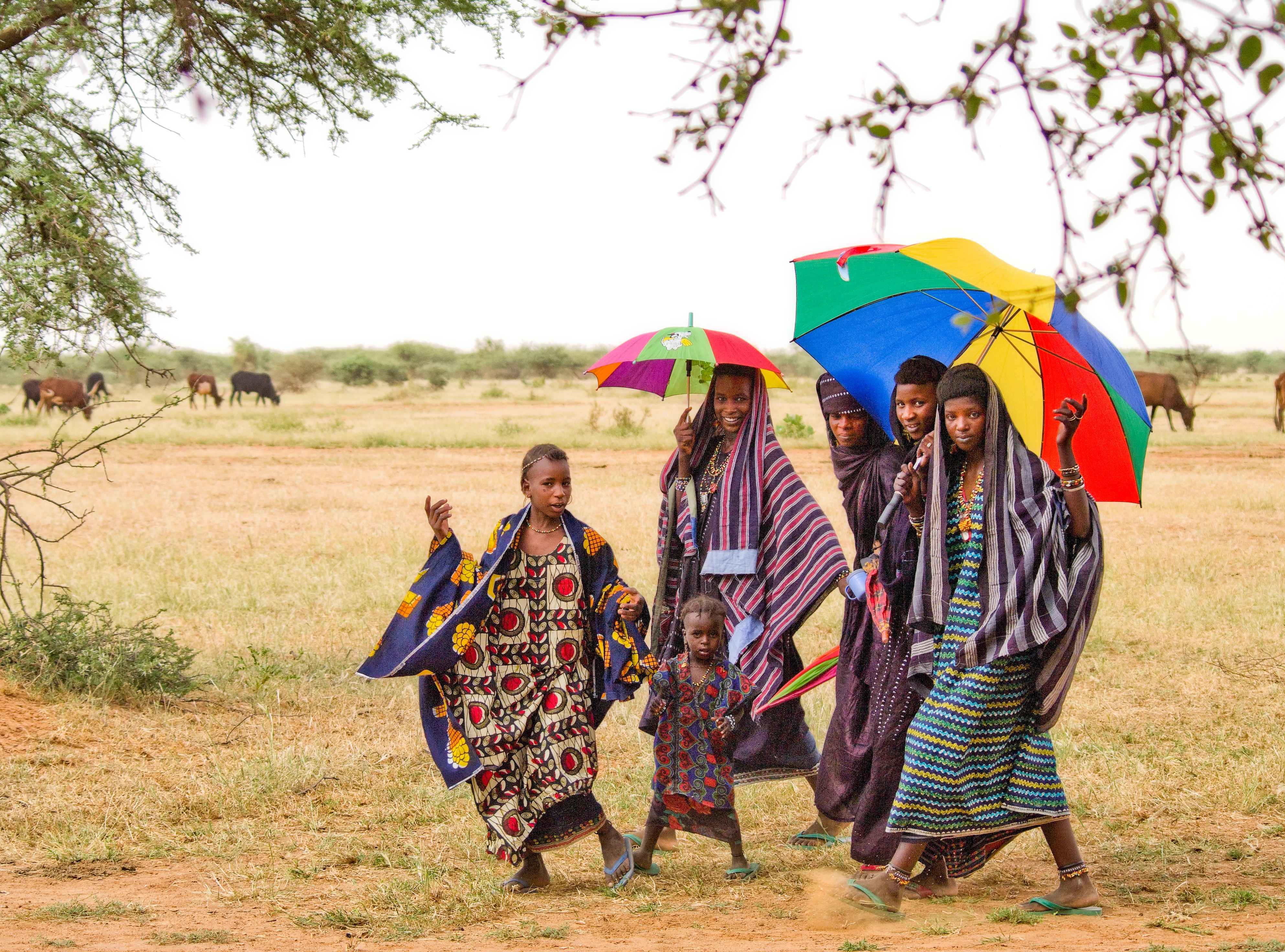 Wodabees’ Guérewol festivity, 2009