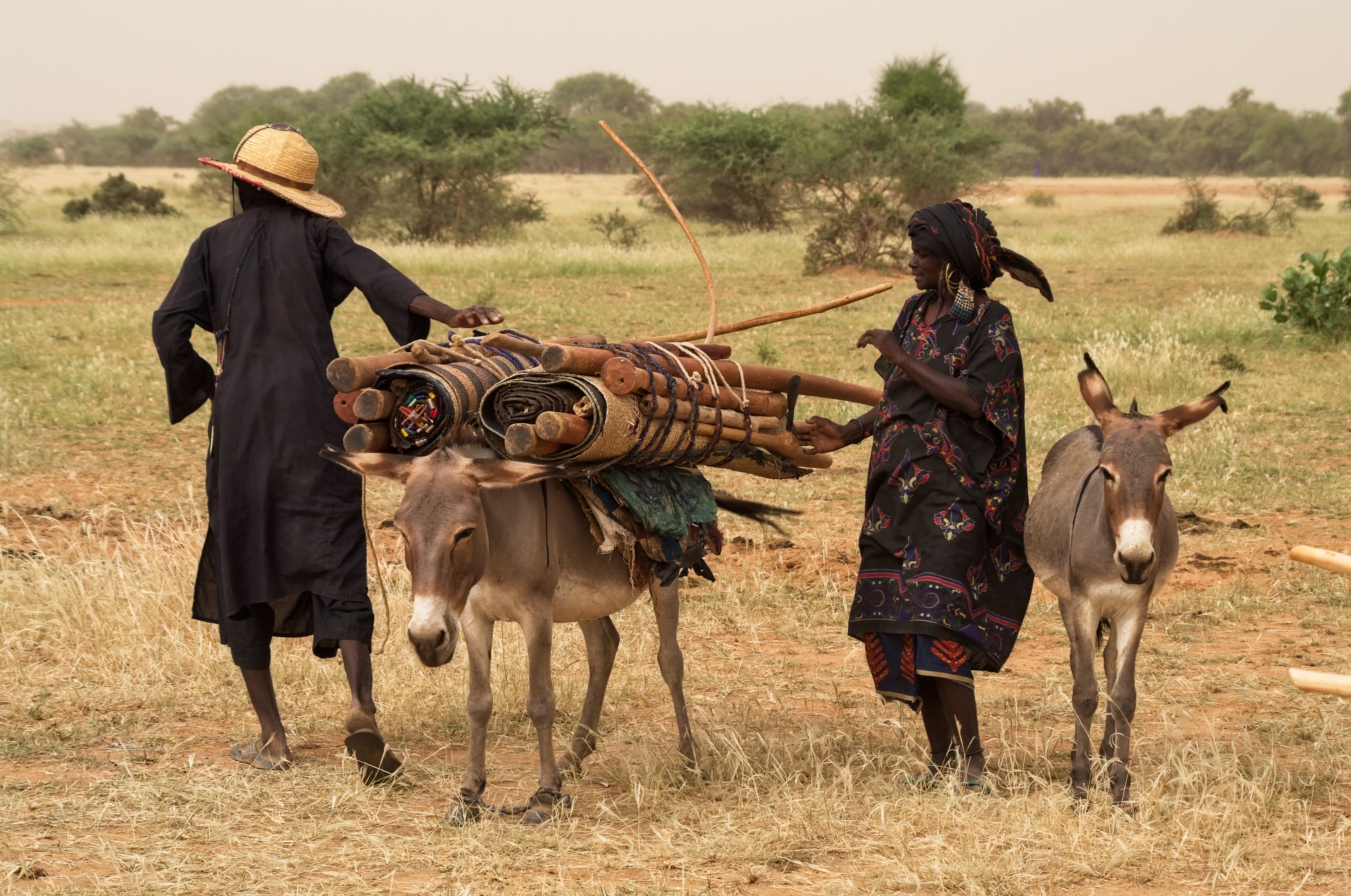 Wodabees’ Guérewol festivity, 2009