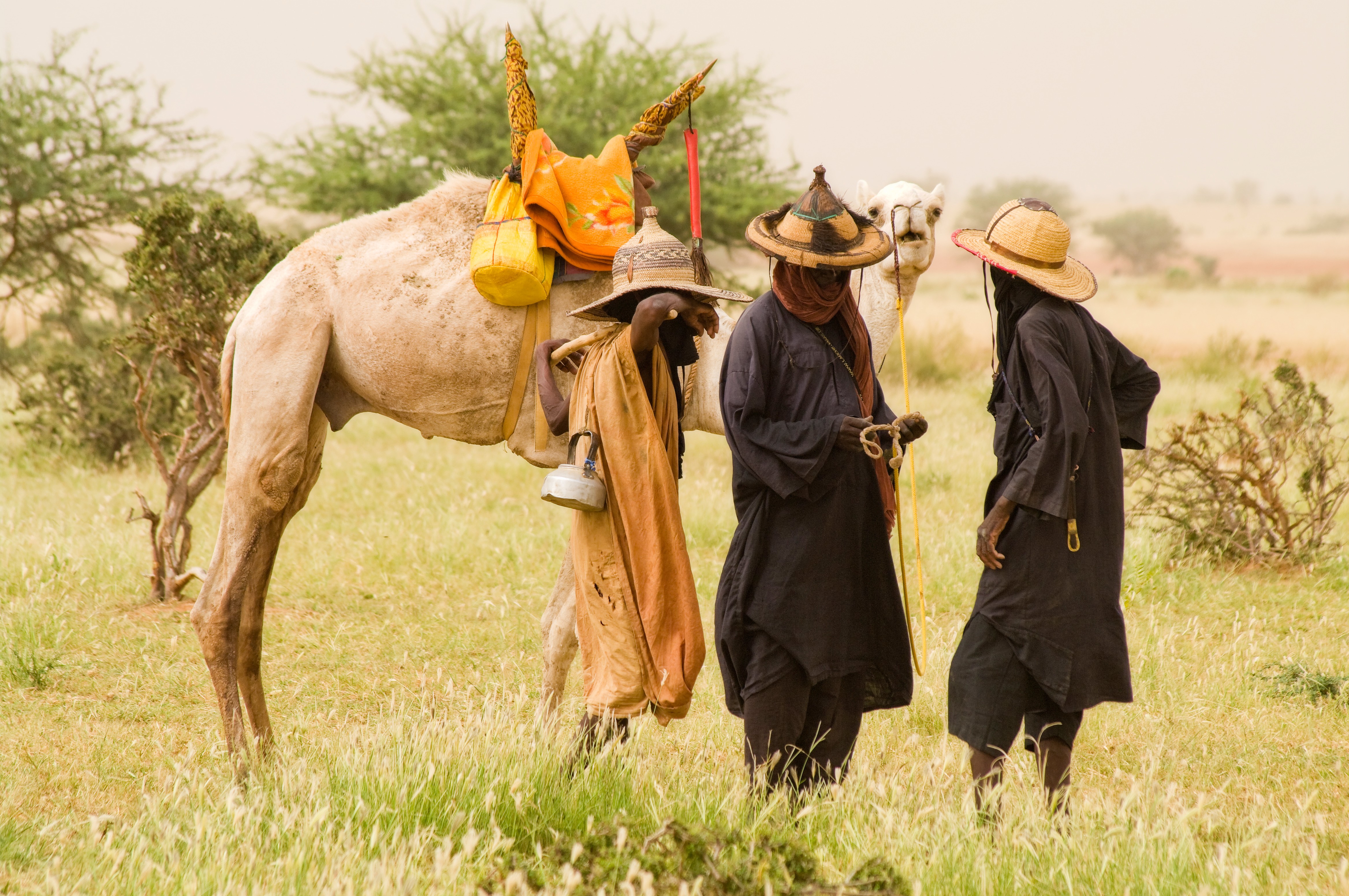 Wodabees’ Guérewol festivity, 2009