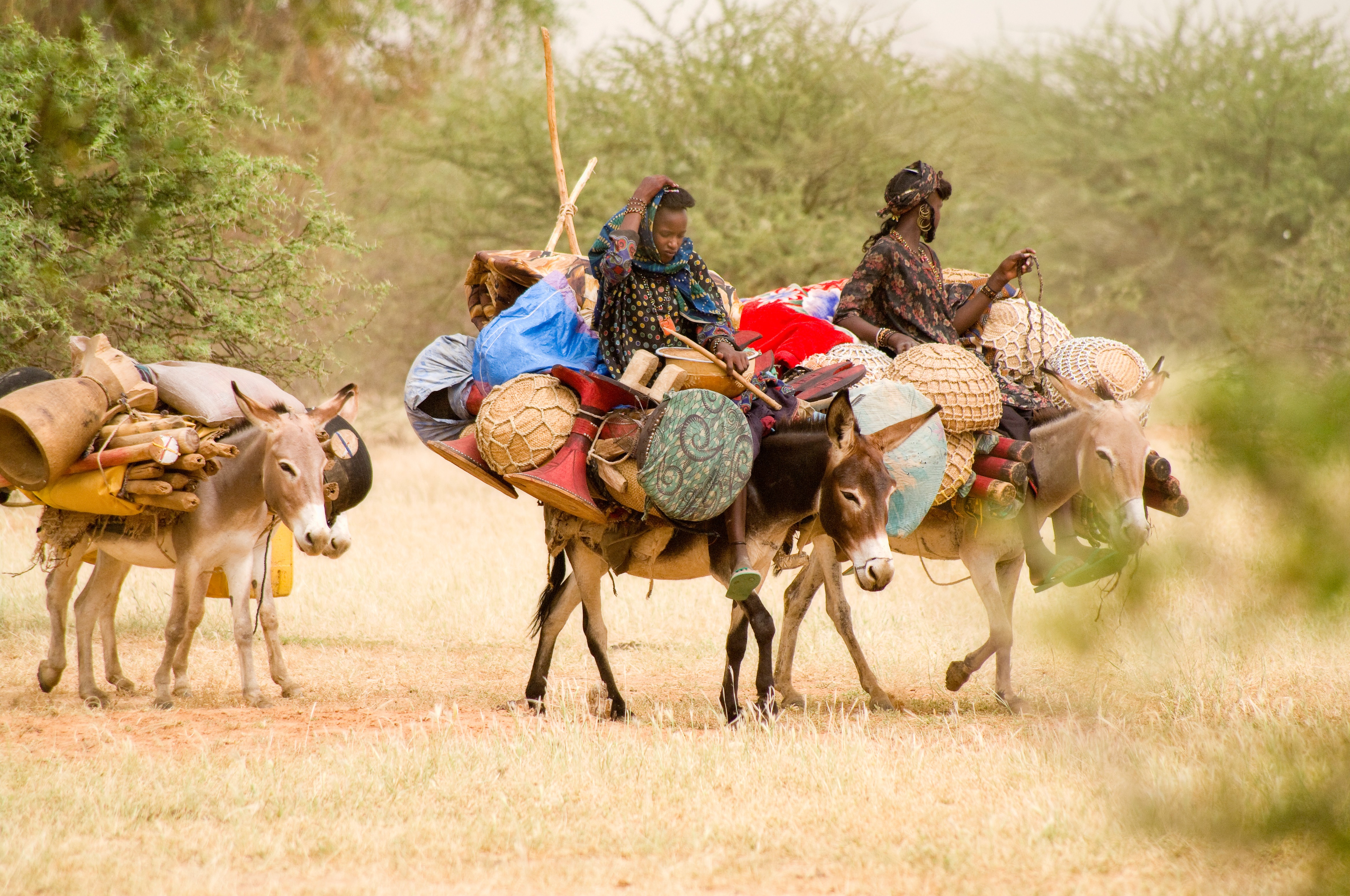 Wodabees’ Guérewol festivity, 2009