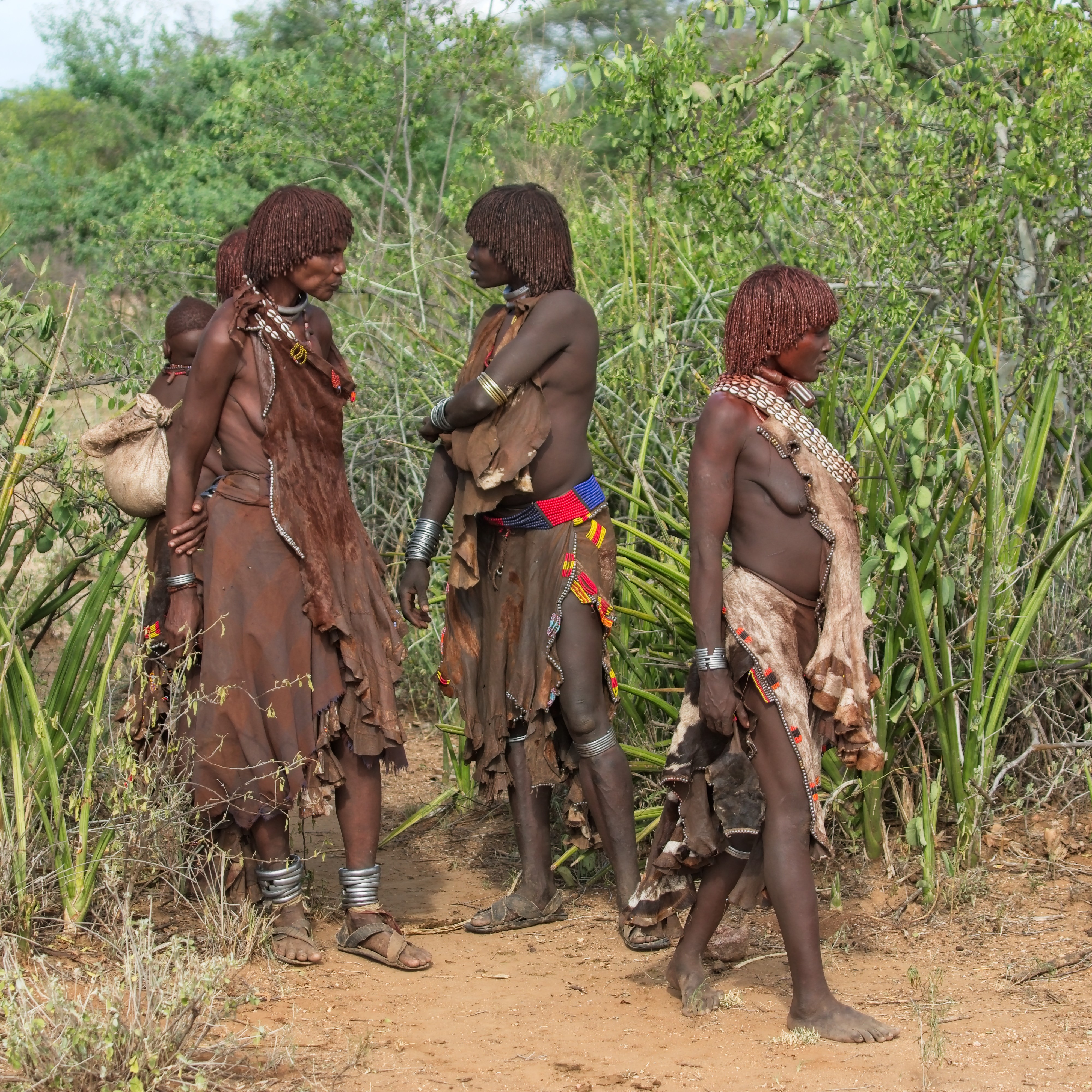 Hamar initiation ritual