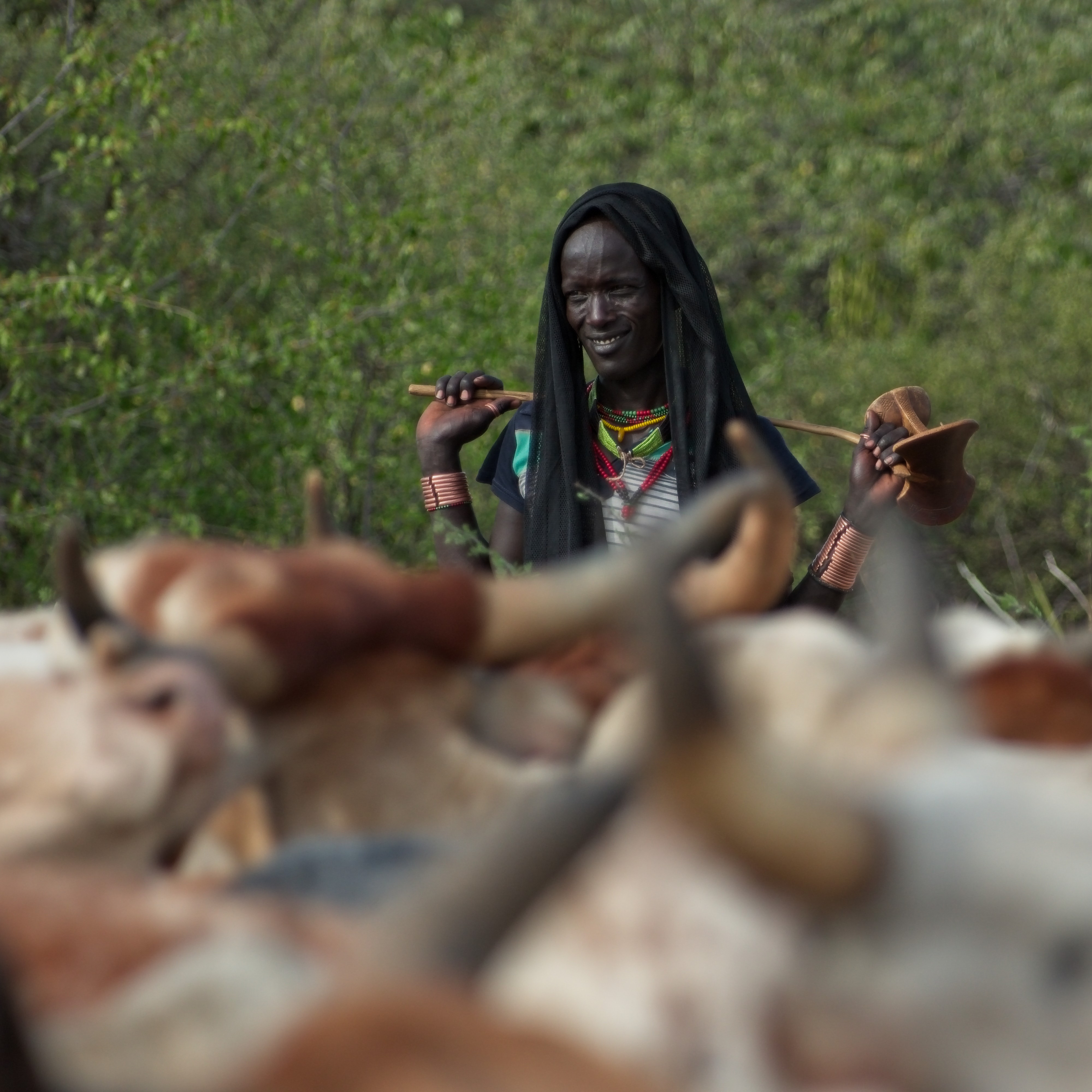 Hamar initiation ritual