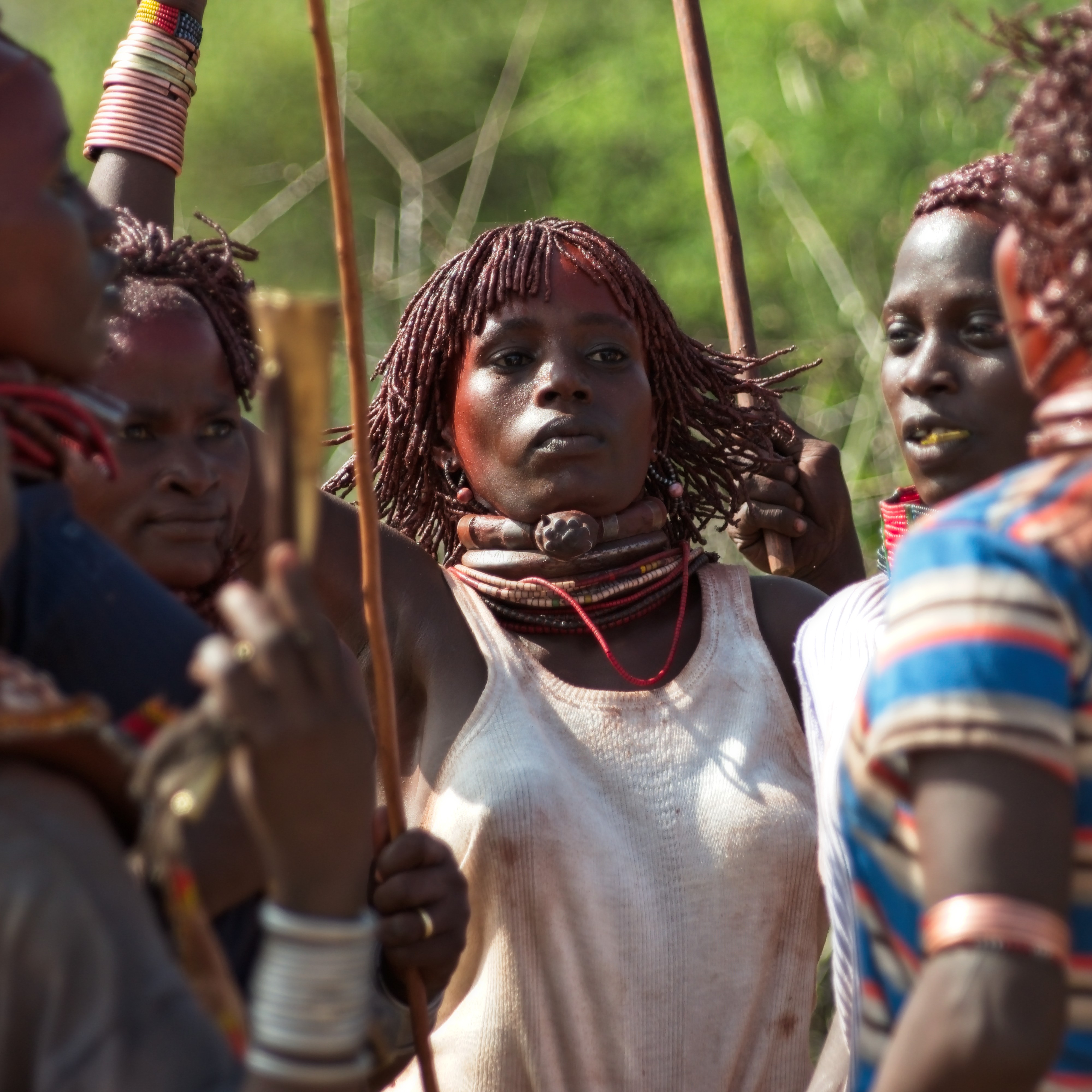 Hamar initiation ritual