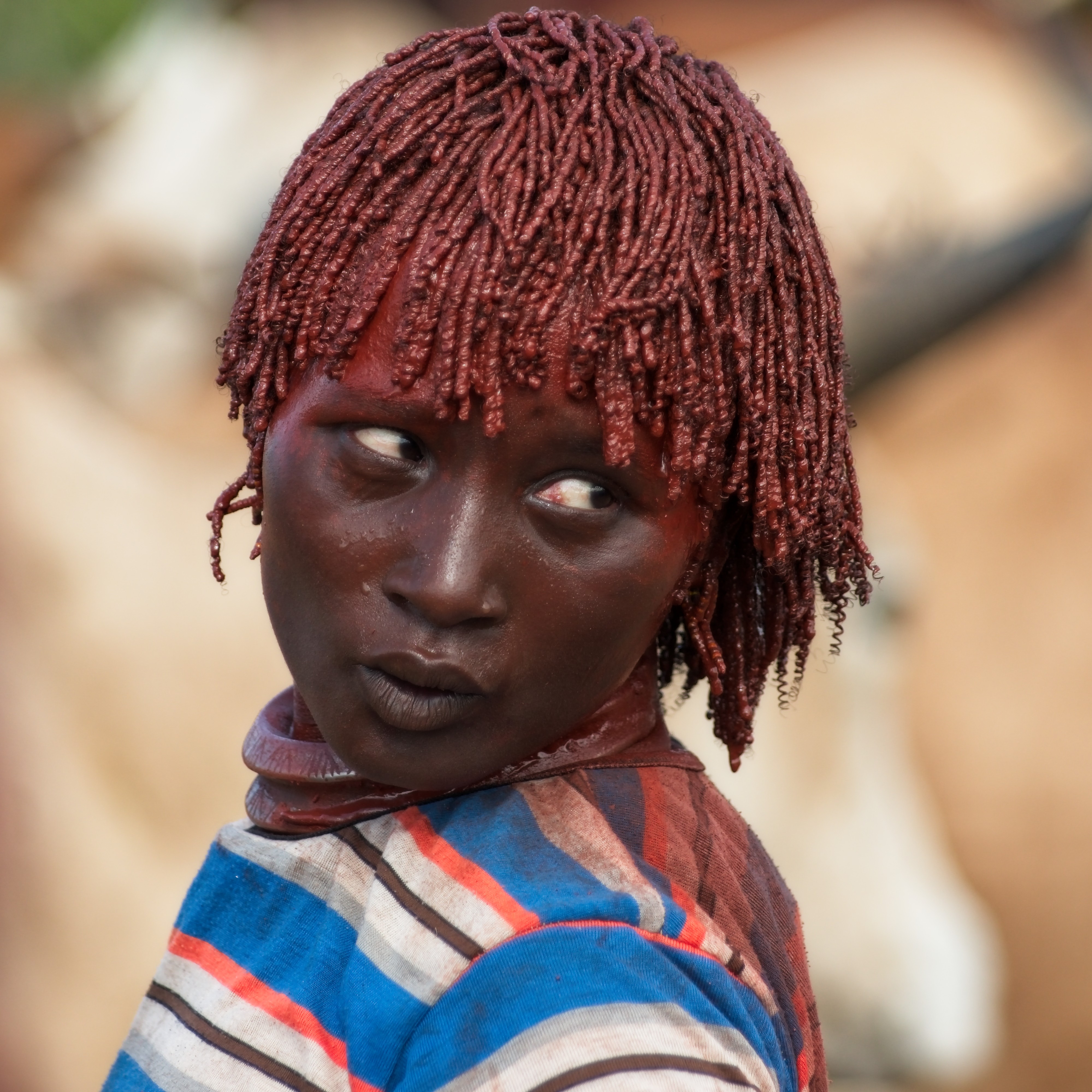 Hamar initiation ritual