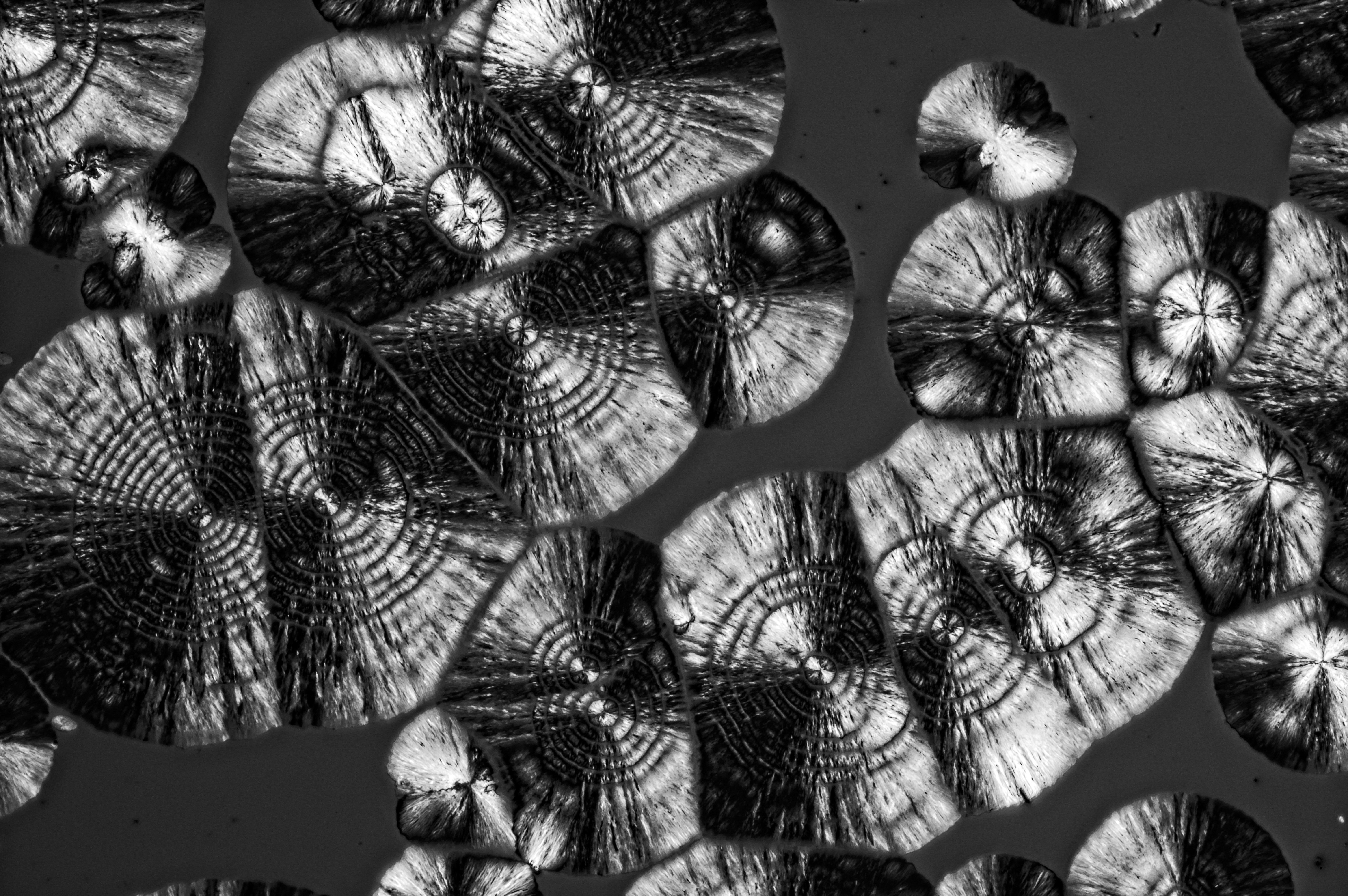 5-amino-1-naphthalenesulfonic acid from 10-% ammonia solution, field of view = 1.3x0.8 mm