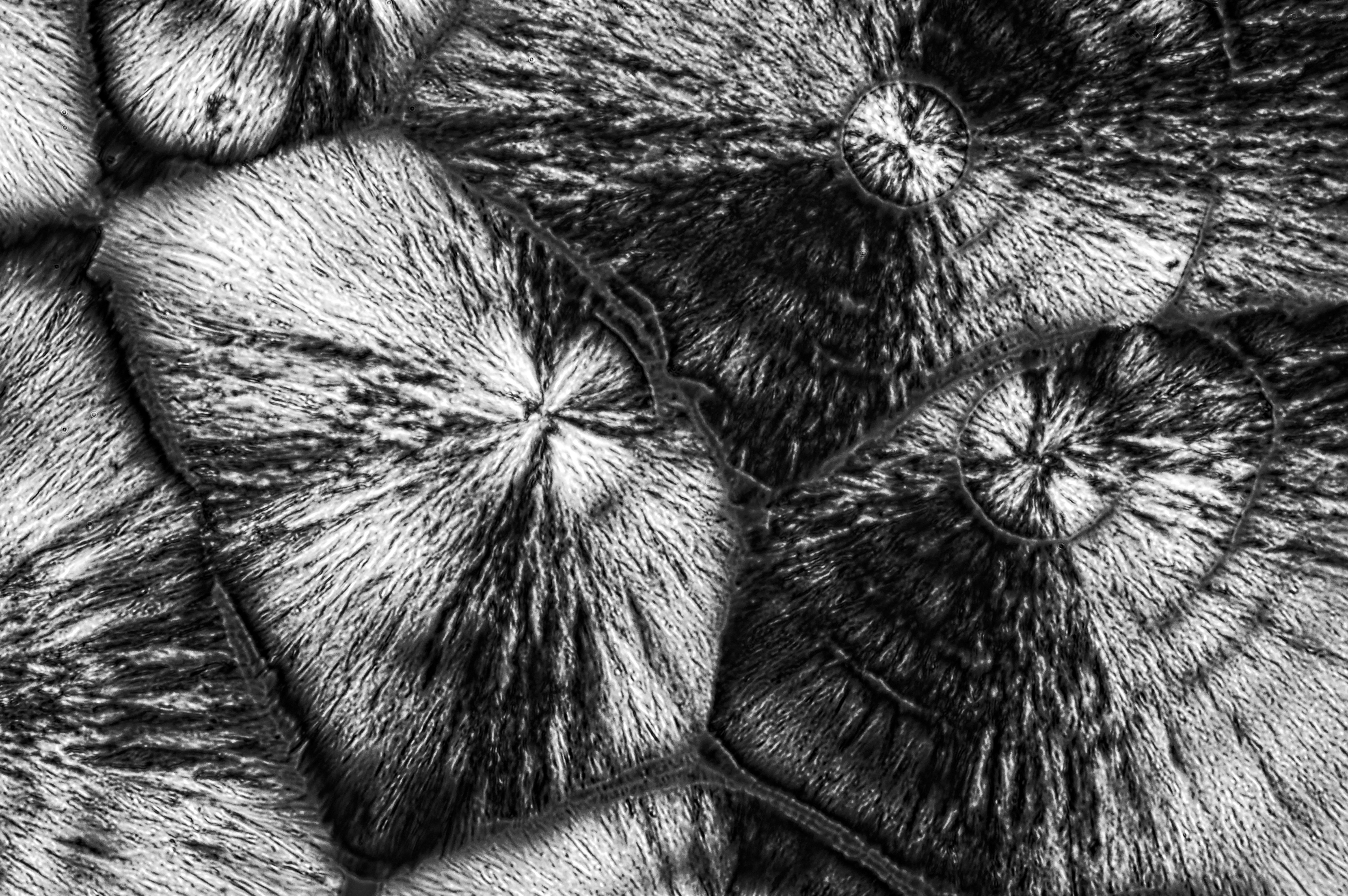 5-amino-1-naphthalenesulfonic acid from 10-% ammonia solution, field of view = 0.4x0.26 mm