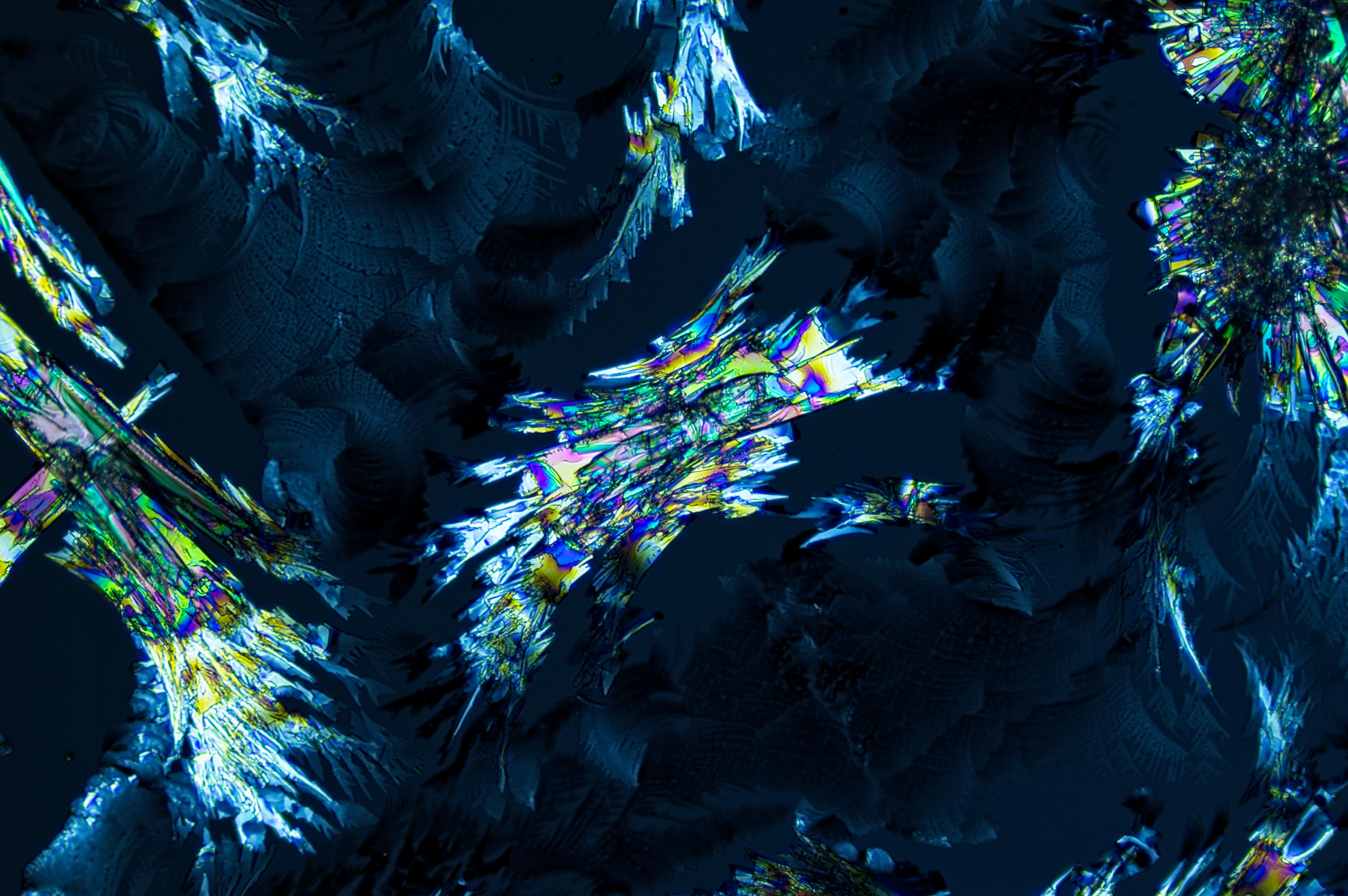 cinnamic acid from aqueous 2-propanol, field of view = 0.8x0.5 mm