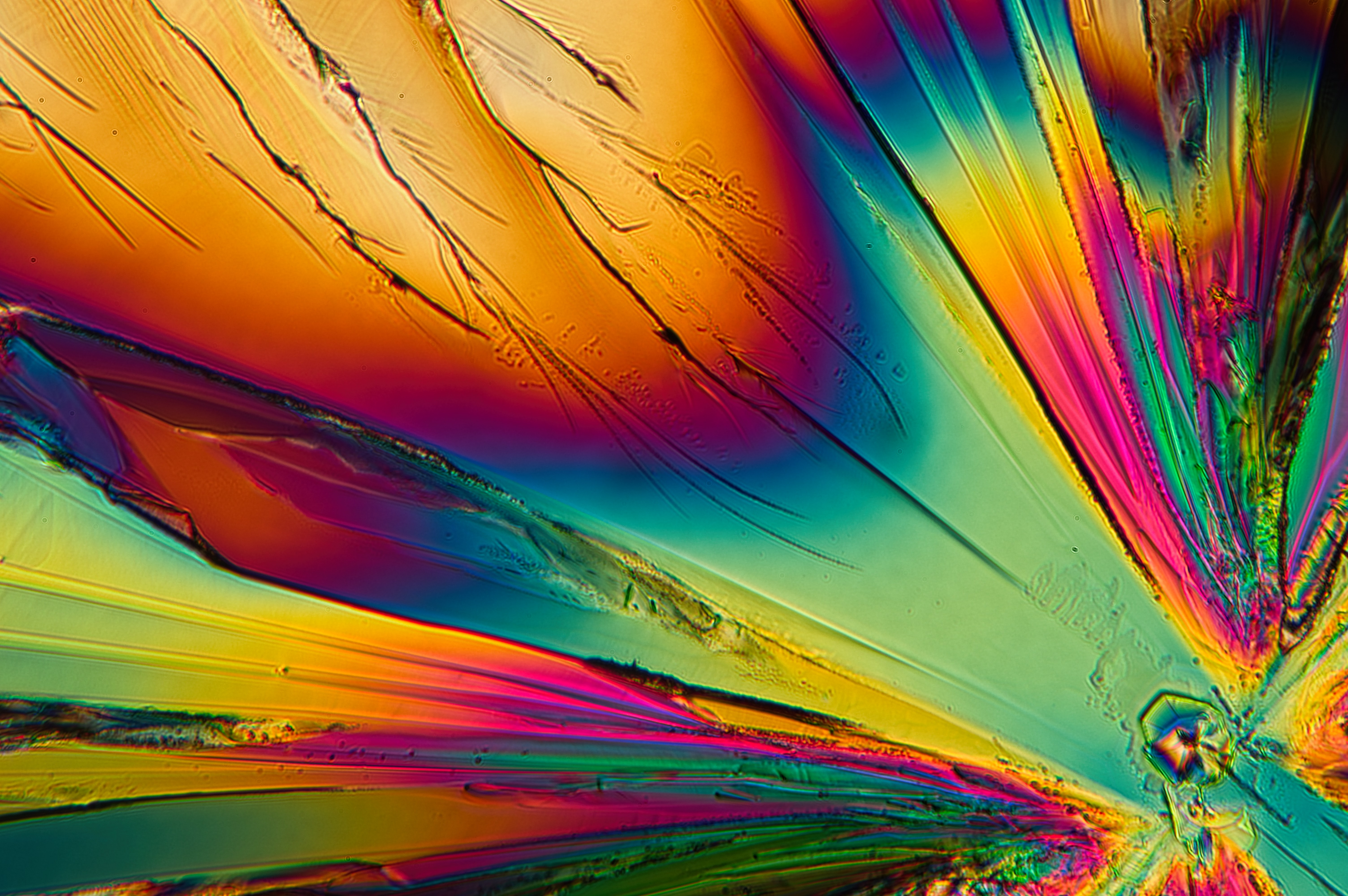 citric acid from 2-propanol, field of view not documented 