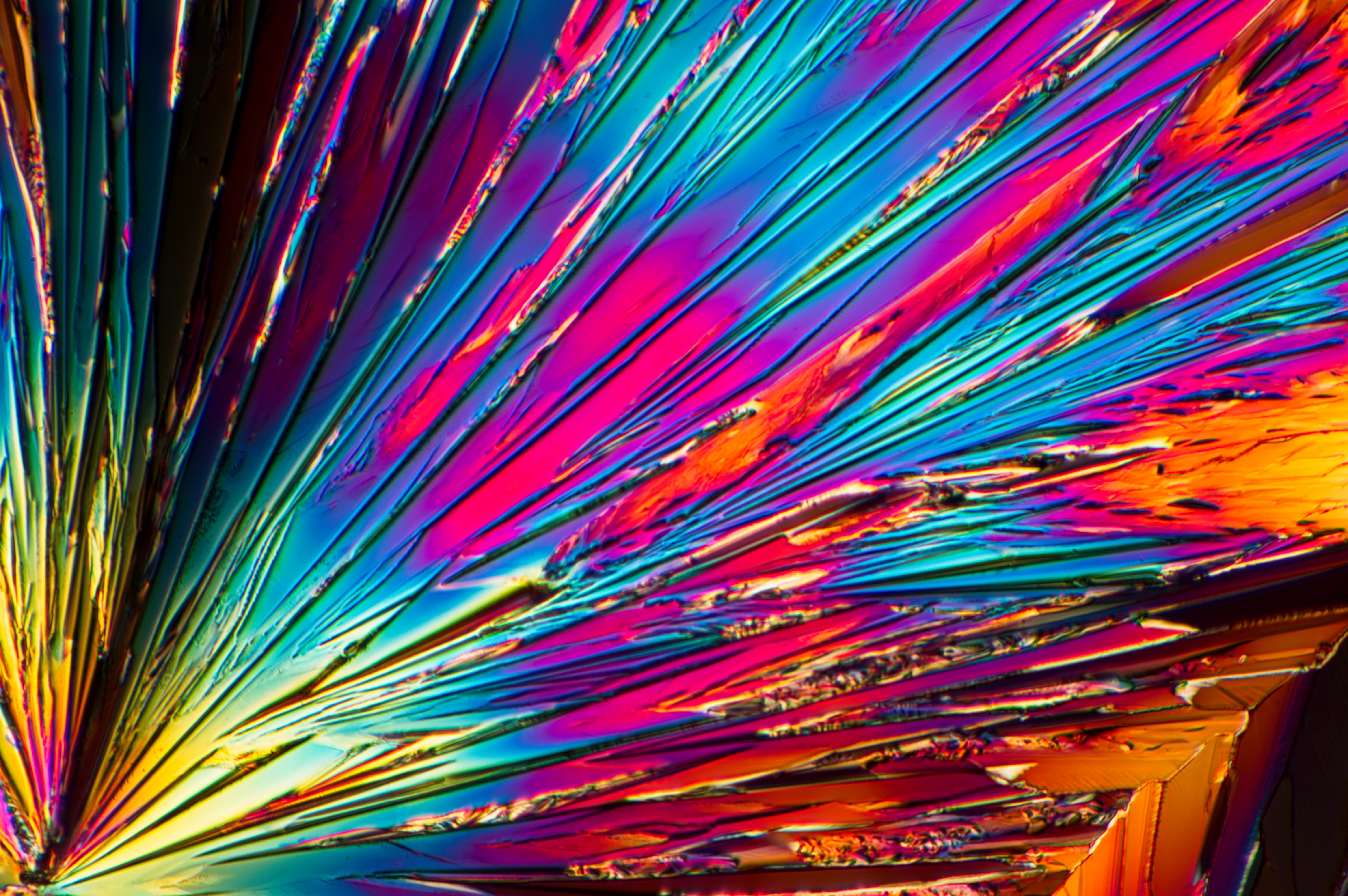 citric acid from 2-propanol, field of view not documented 