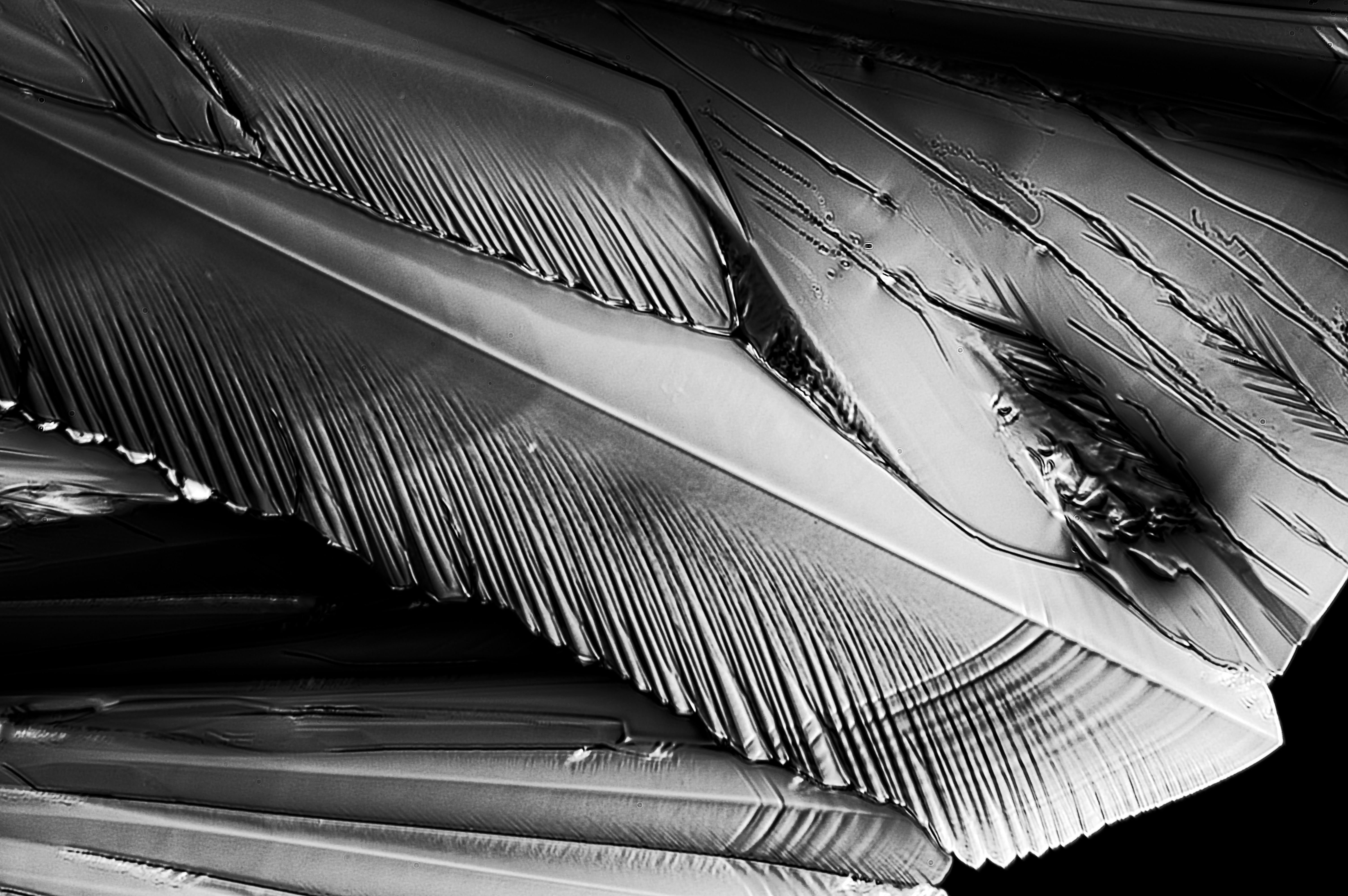 citric acid from 2-propanol, field of view not documented 