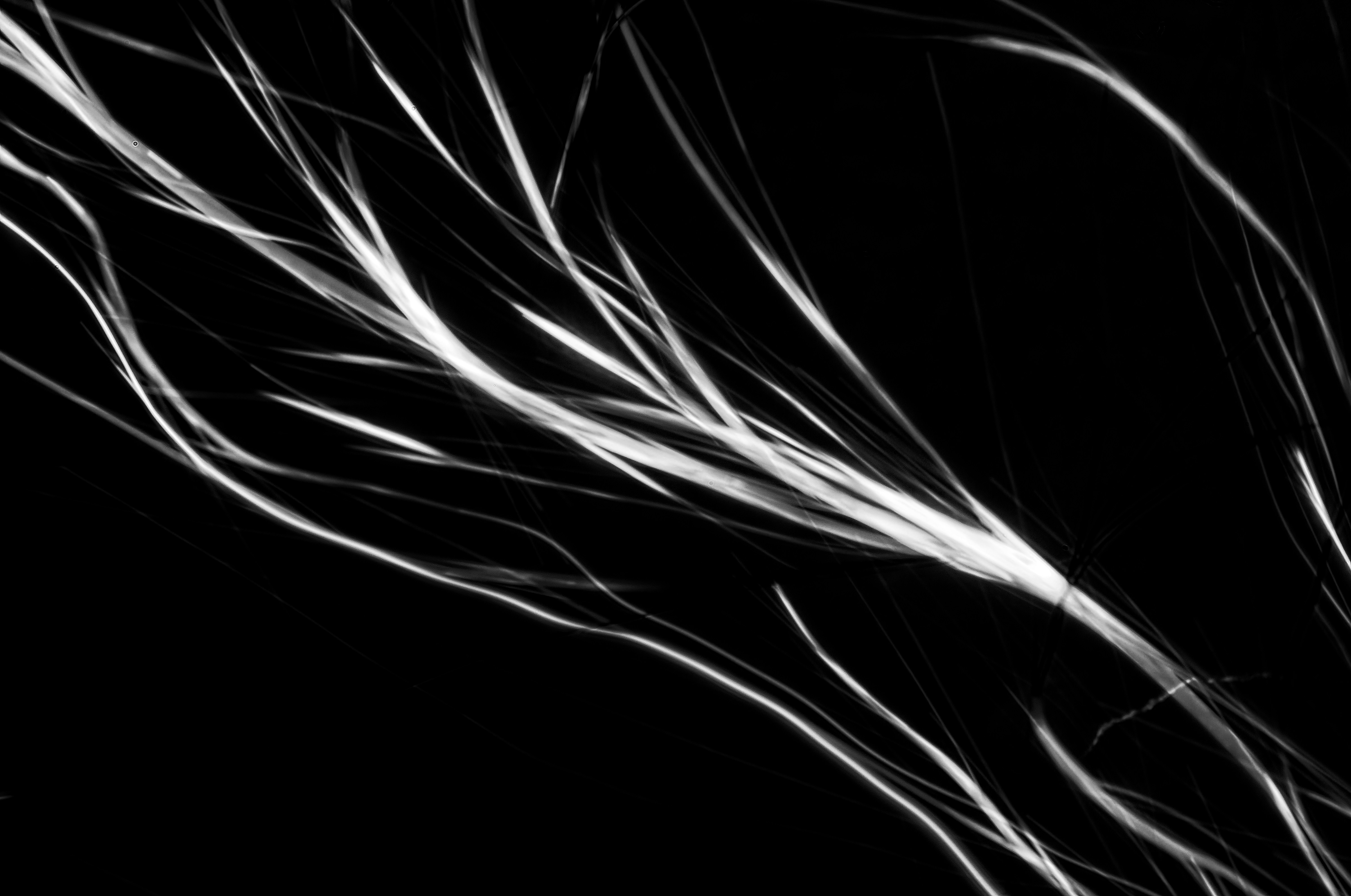 crystalizing cocoamidopropyl betaine from water, field of view = 1.0x0.66 mm