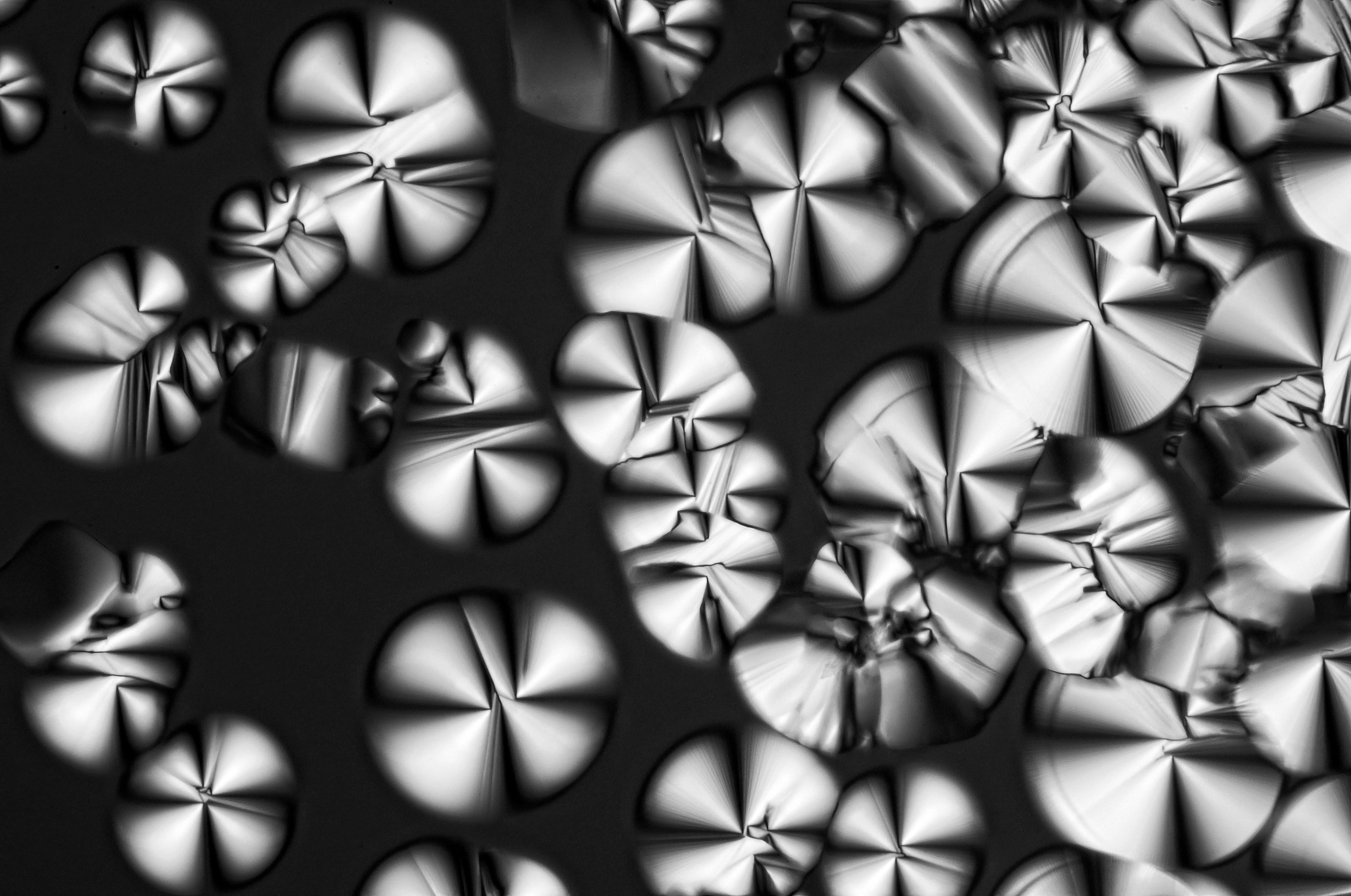 hexagonal liquid crystalline phase of cocoamidopropyl betaine in water, field of view = 1.0x0.66 mm
