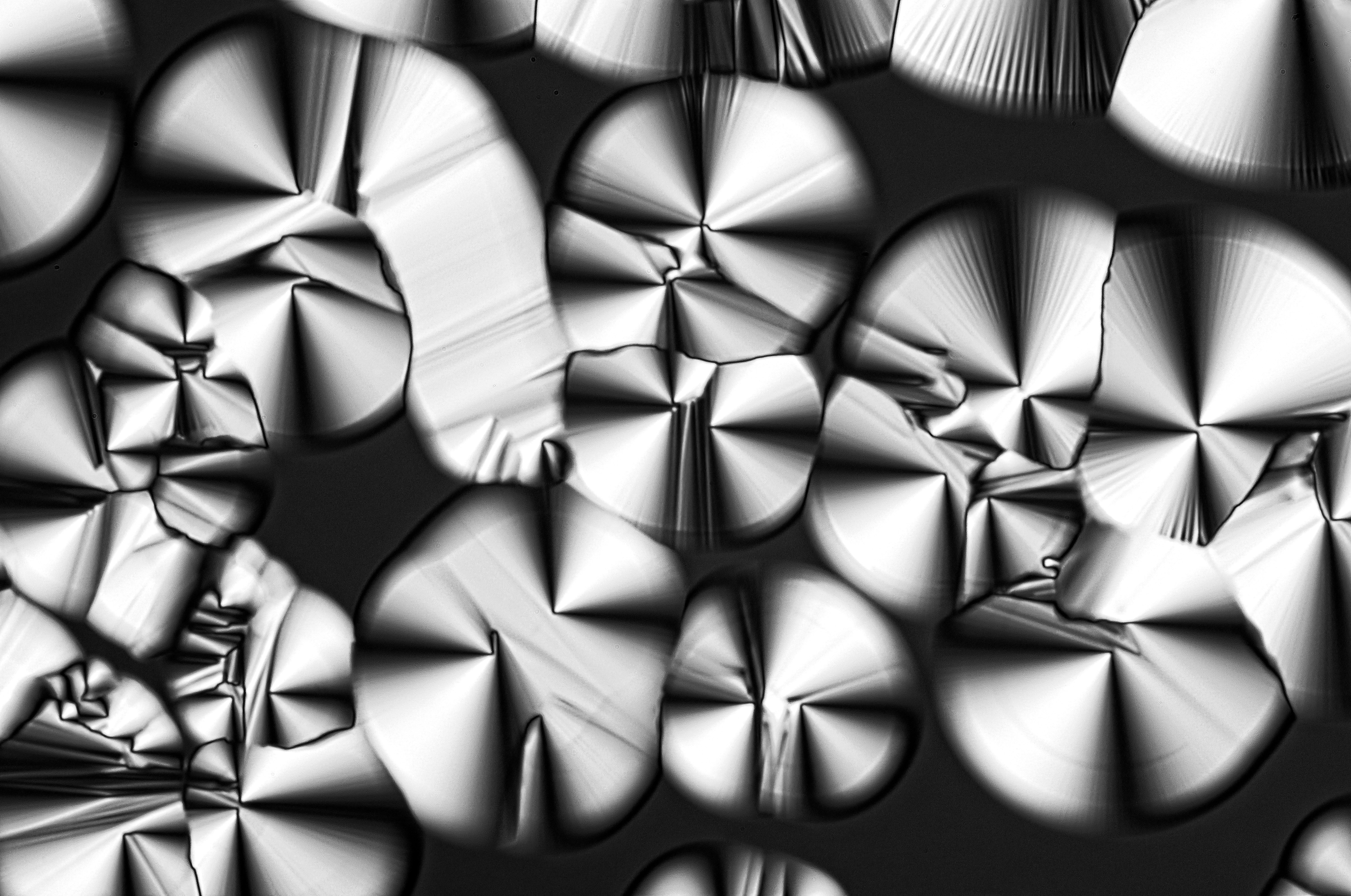hexagonal liquid crystalline phase of cocoamidopropyl betaine in water,  field of view = 0.4x0.26 mm