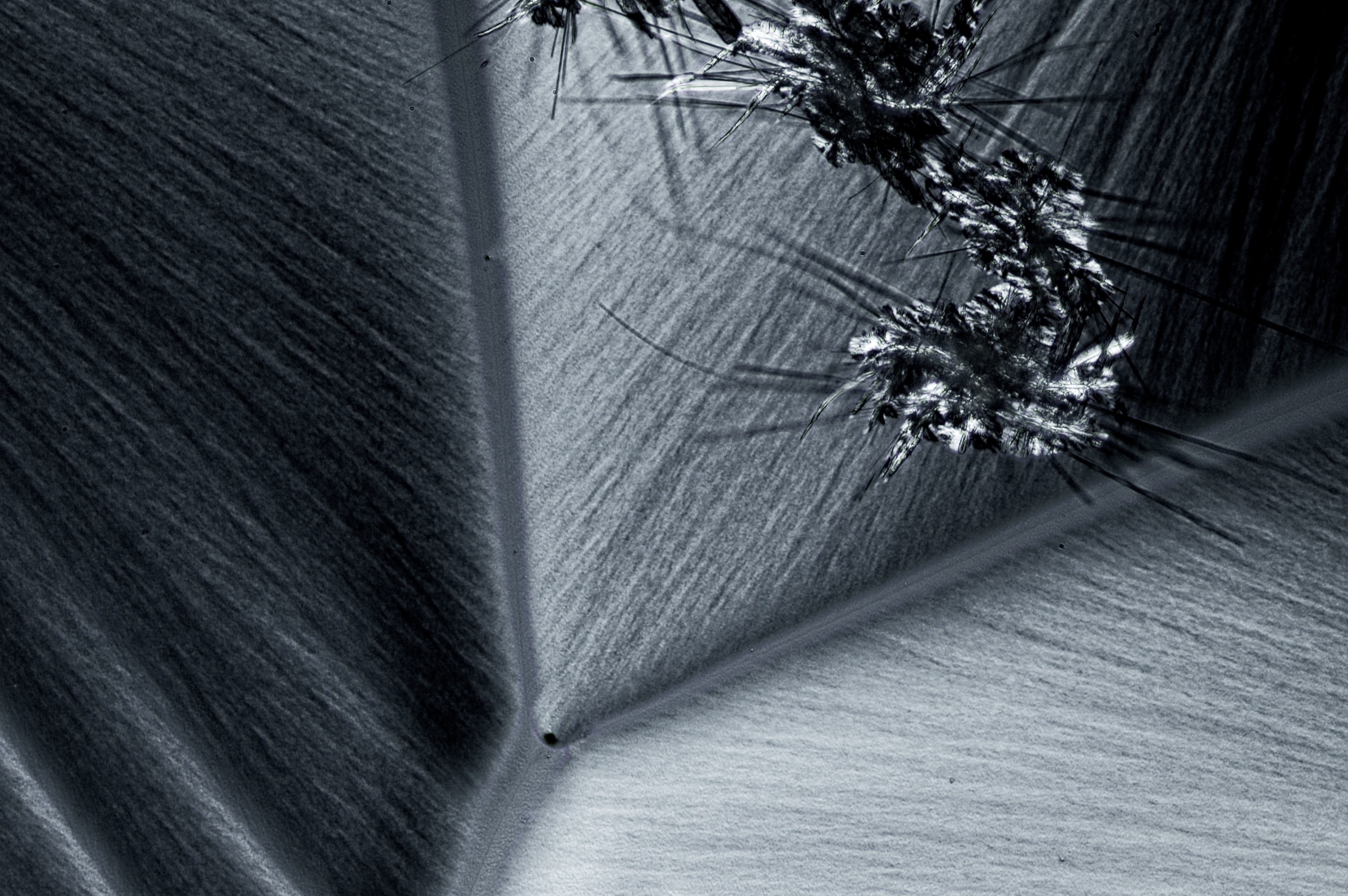 menthol from ethanol, field of view = 0.8x0.5 mm