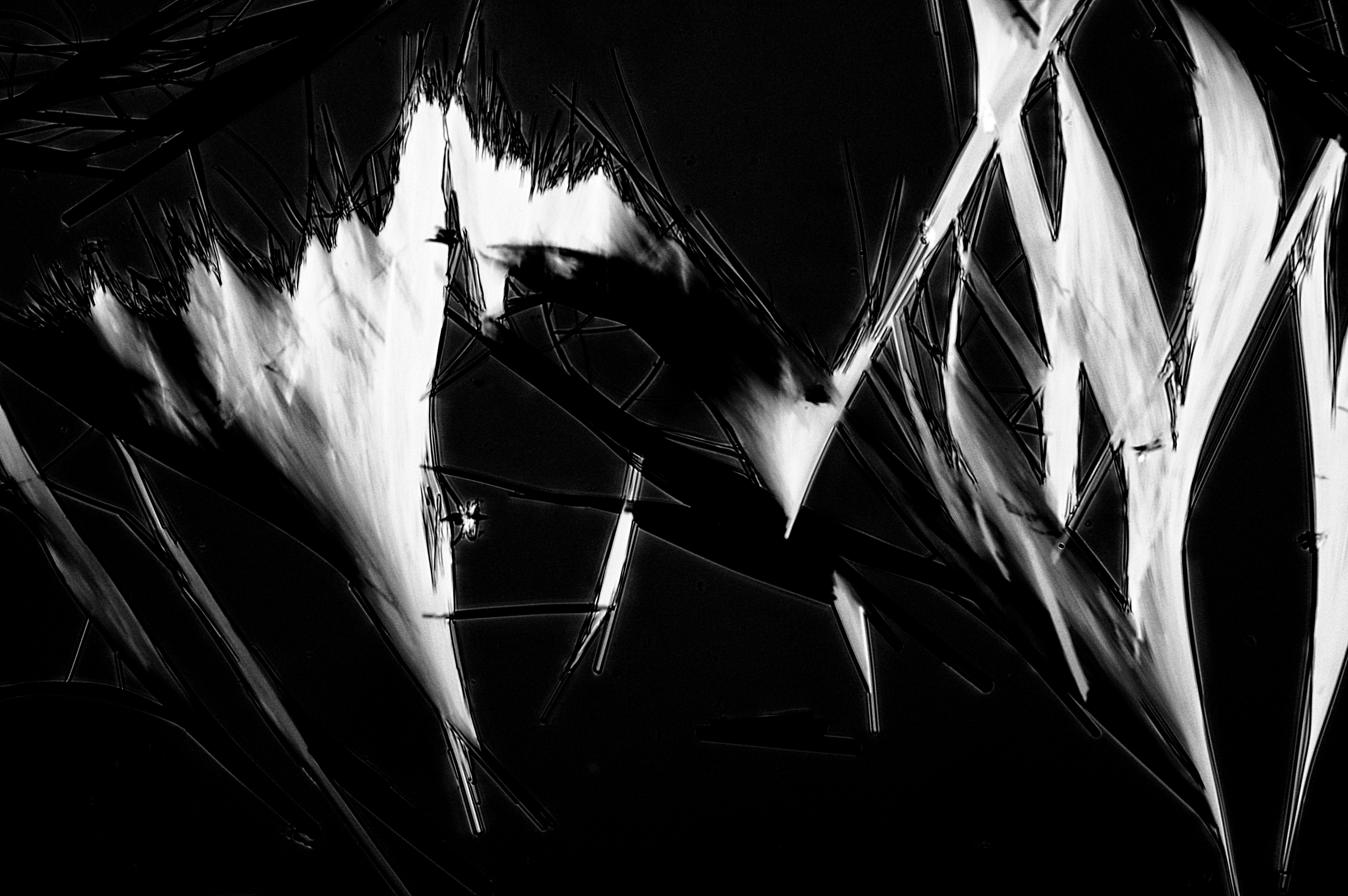 menthol from ethanol, field of view = 0.4x0.26 mm