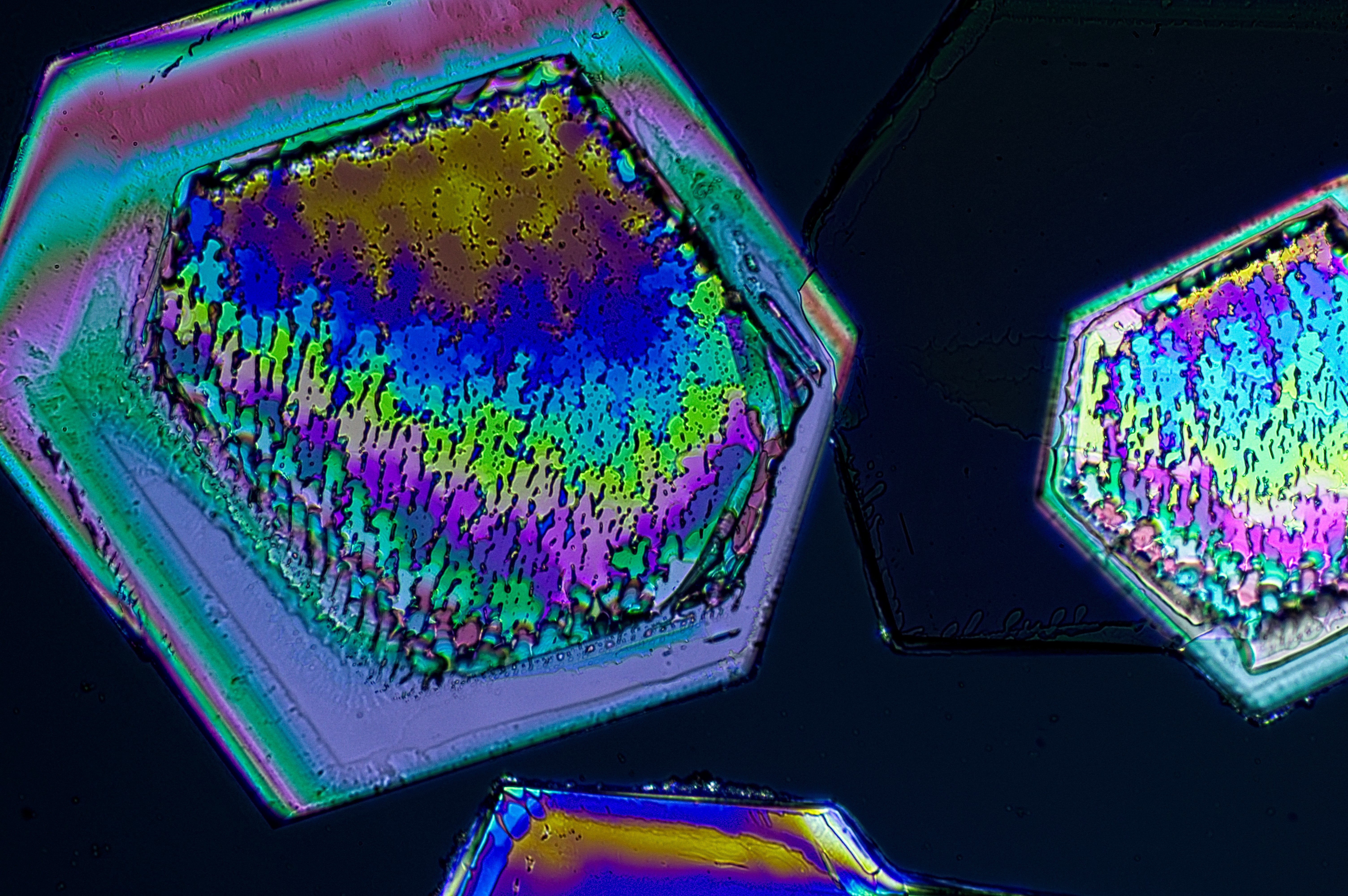 thiourea from aqueous 2-propanol, field of view = 0.8x0.5 mm