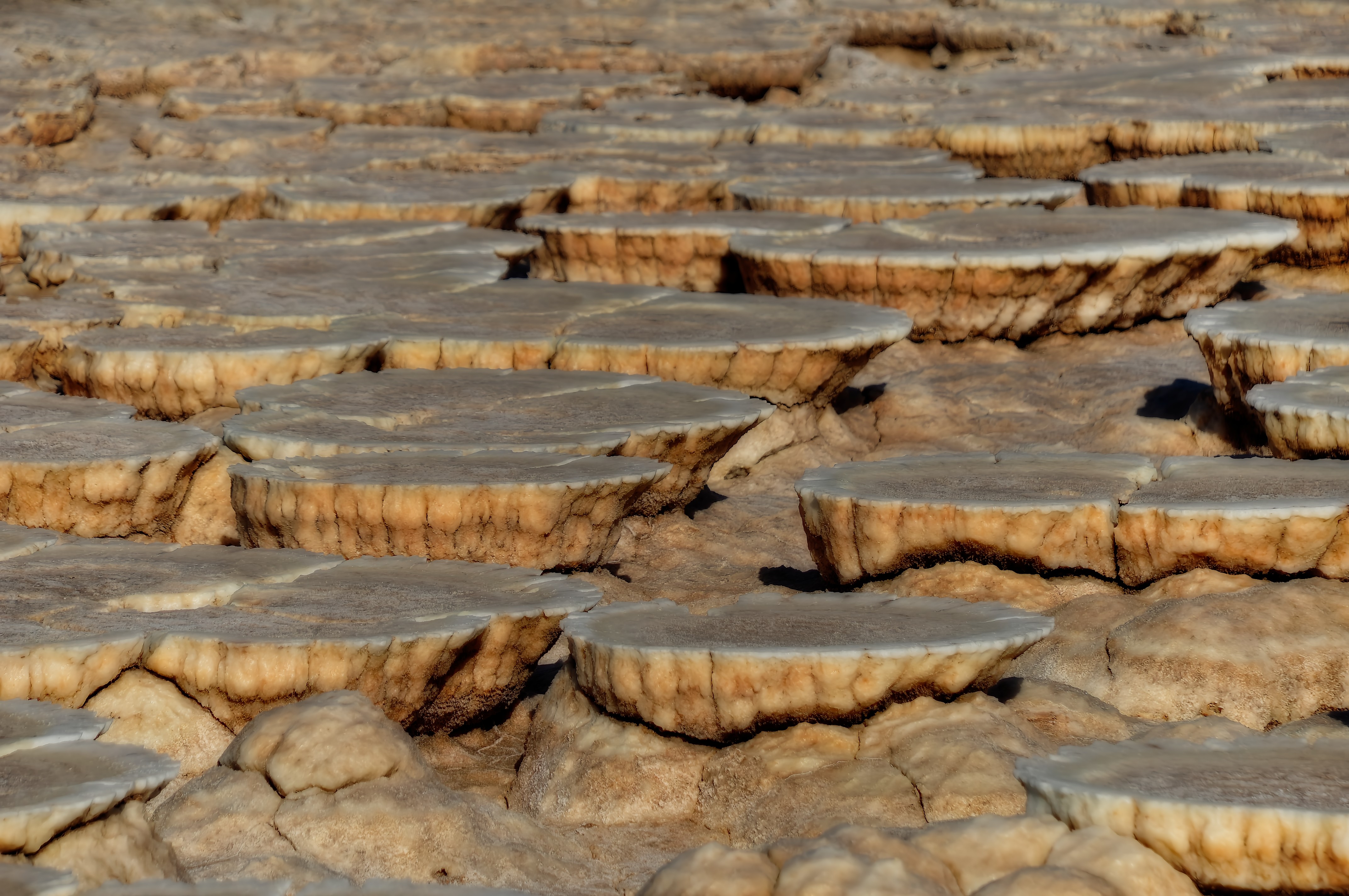 Dallol, hot springs of hyper-acidic and hyper-saline brine (Danakil depression, Ethiopia)