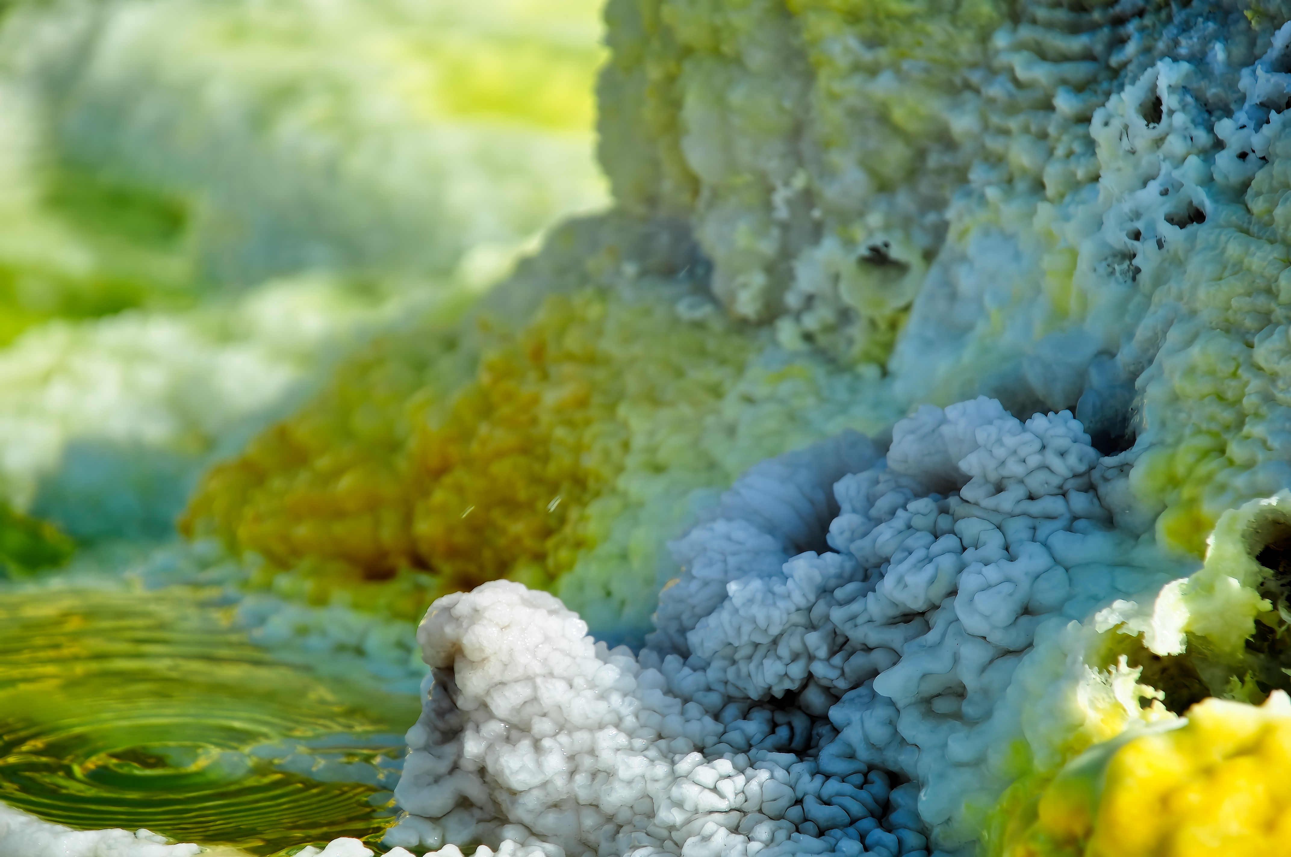 Dallol, hot springs of hyper-acidic and hyper-saline brine (Danakil depression, Ethiopia)