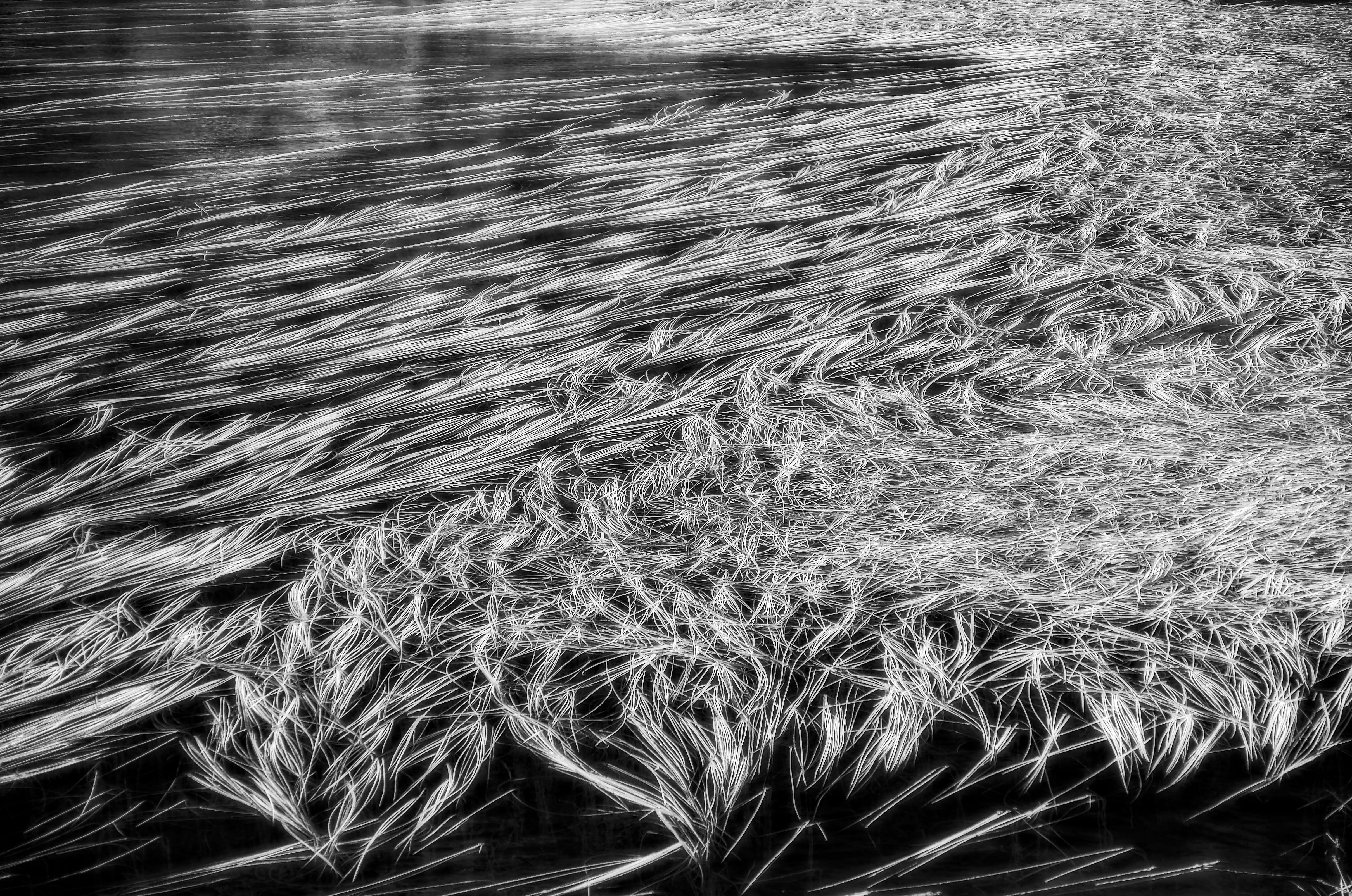 Ribnoto Ezero, Rila Mountains, Bulgaria