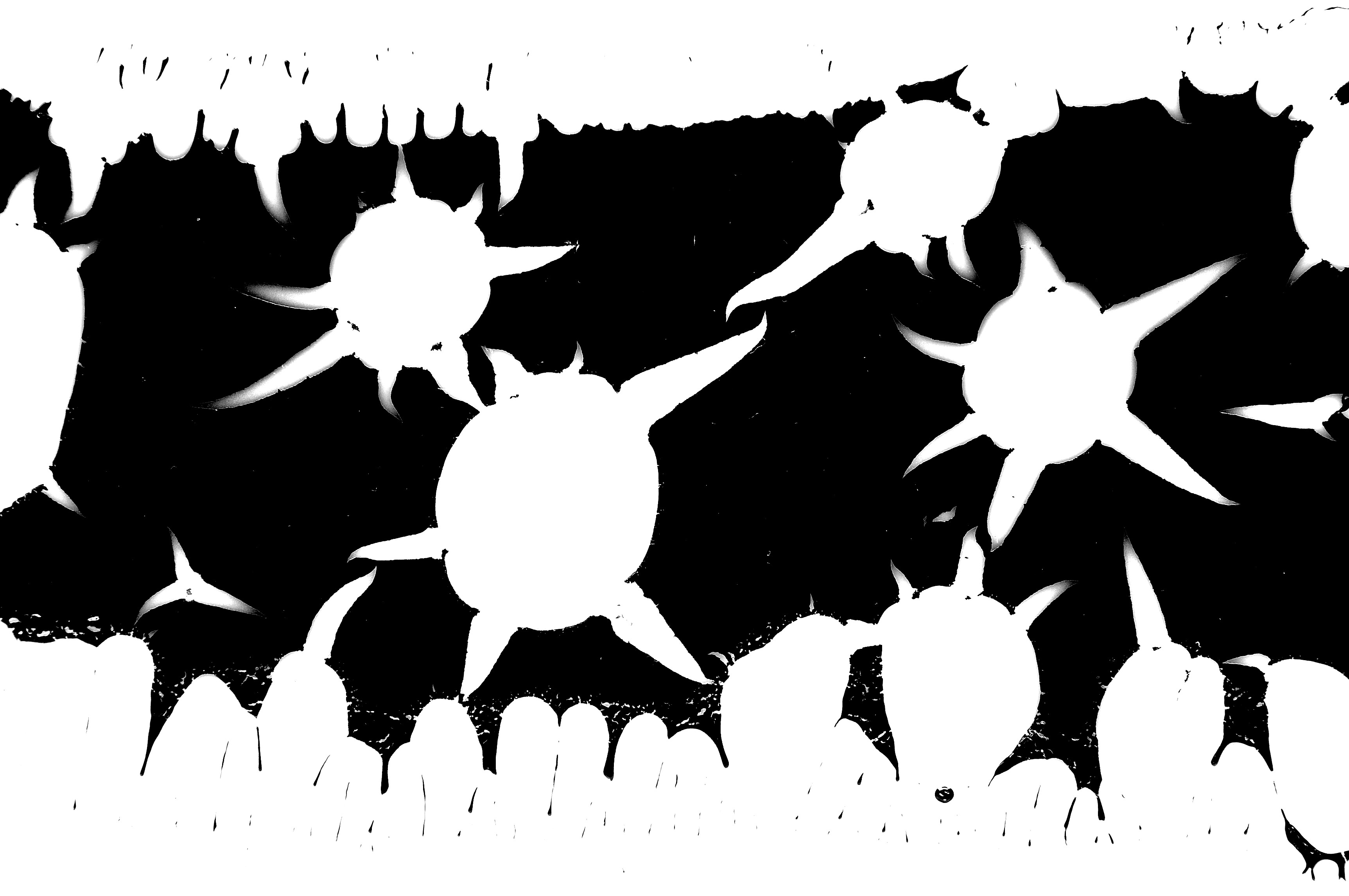 dried graphene based aqueous coating on polypropylene