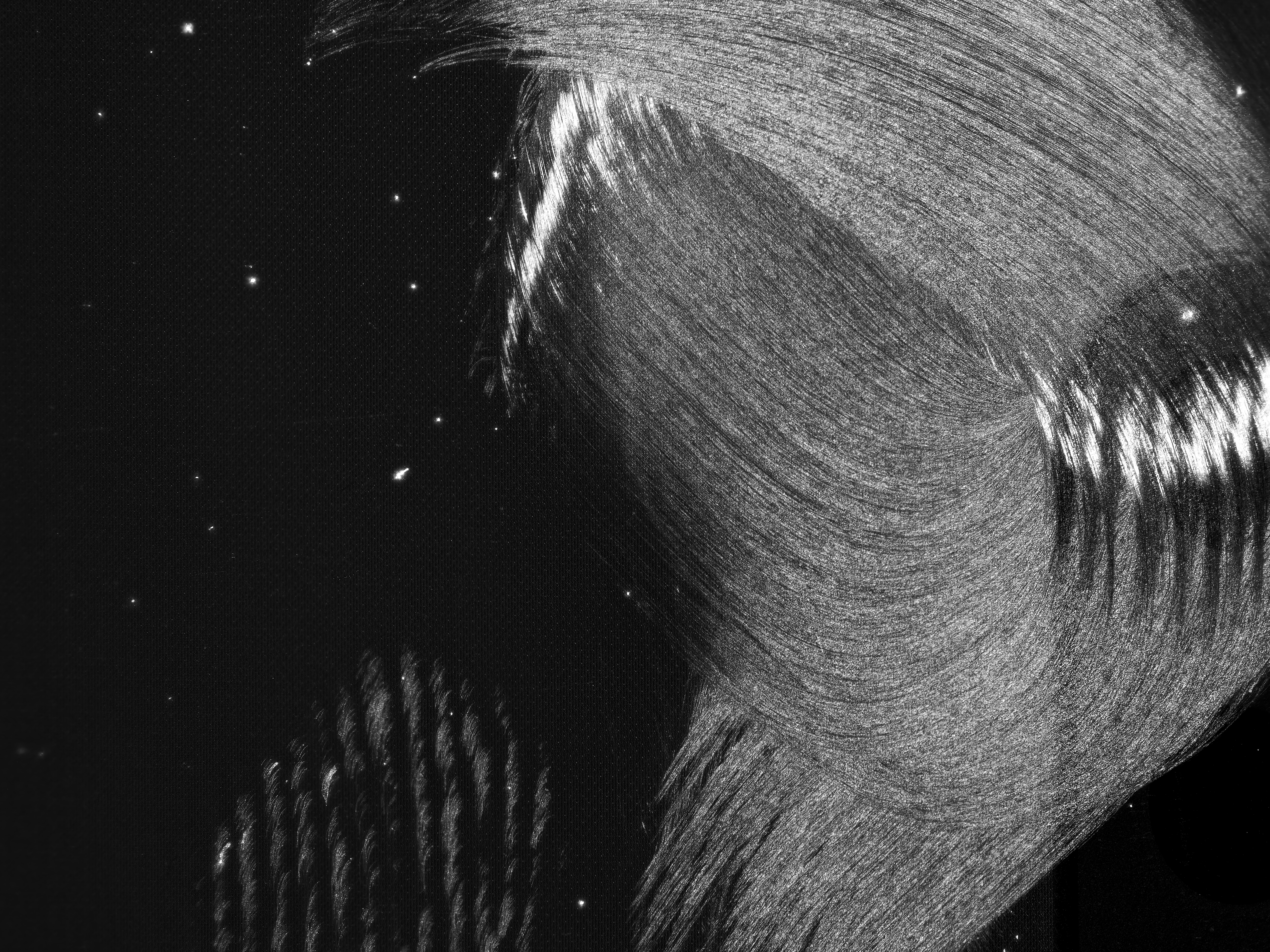 remains of swiping finger tips on a touch screen