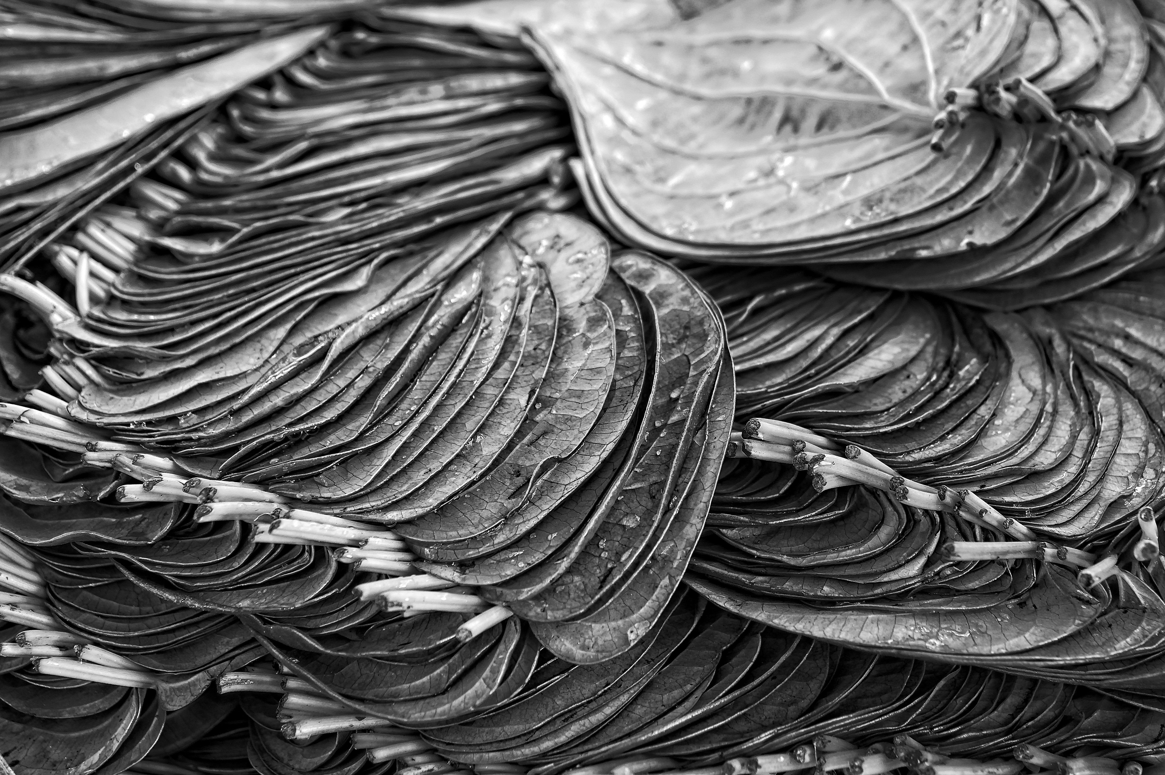 market near Bangalore, India