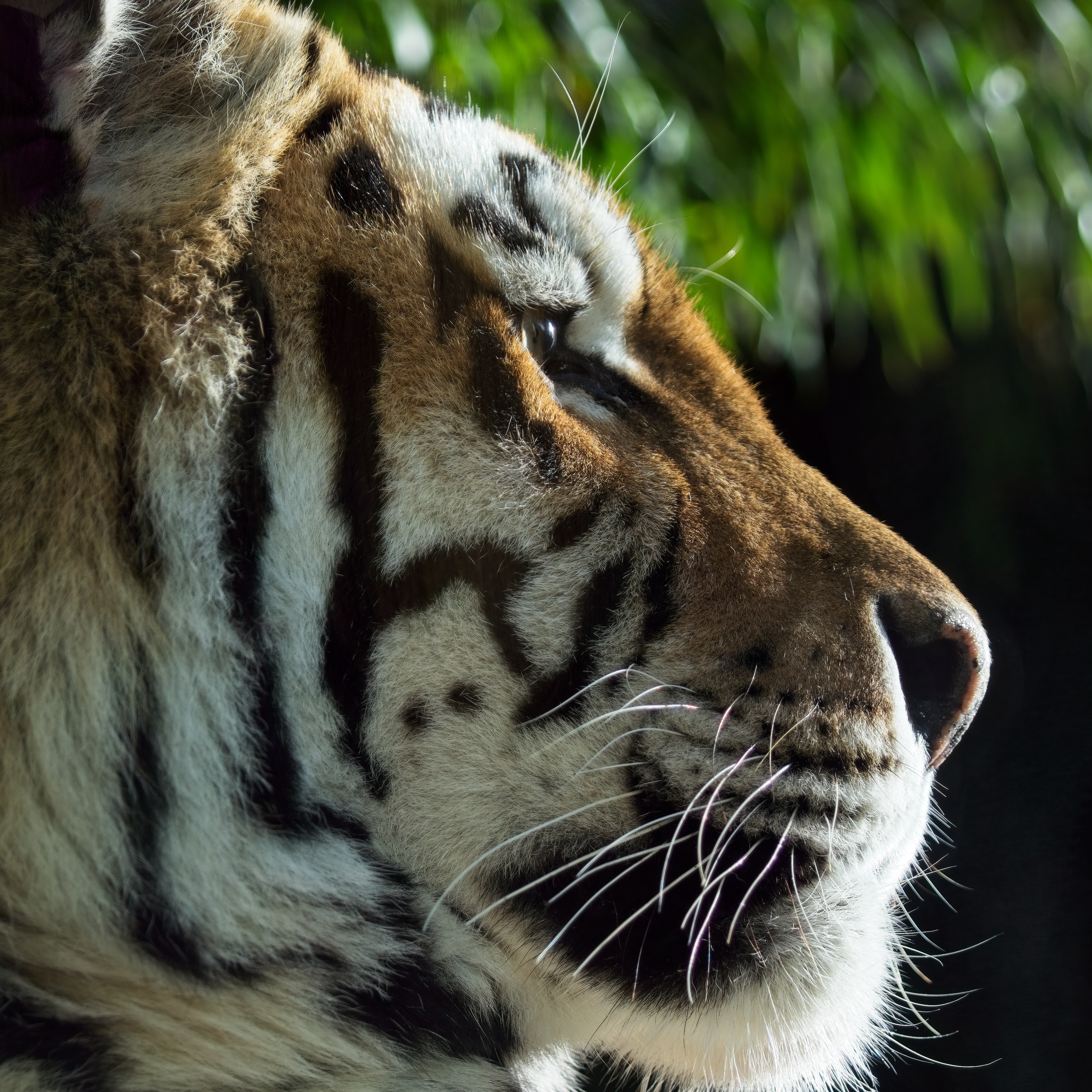 be aware of the scheme …