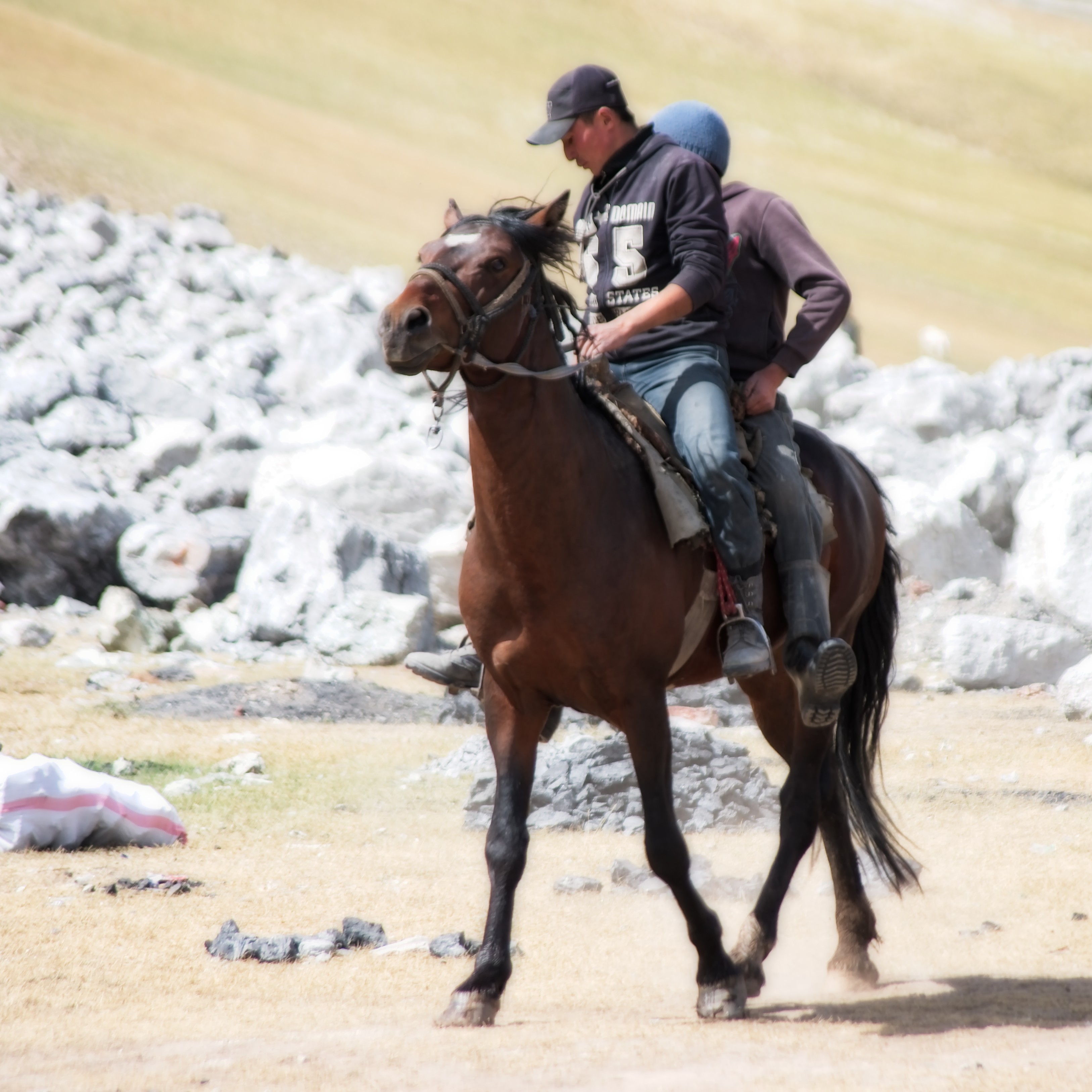 slag heap and summer pasture near Sary Moghul, 2012