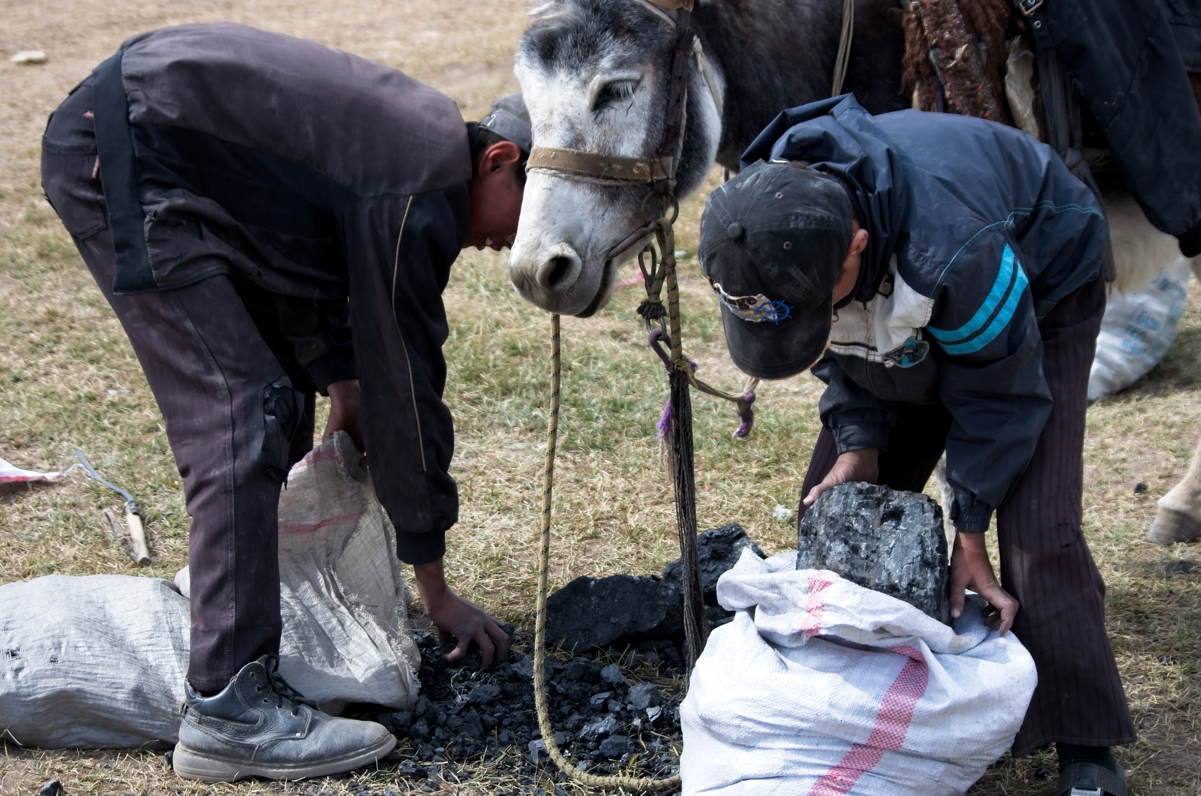 slag heap and summer pasture near Sary Moghul, 2012