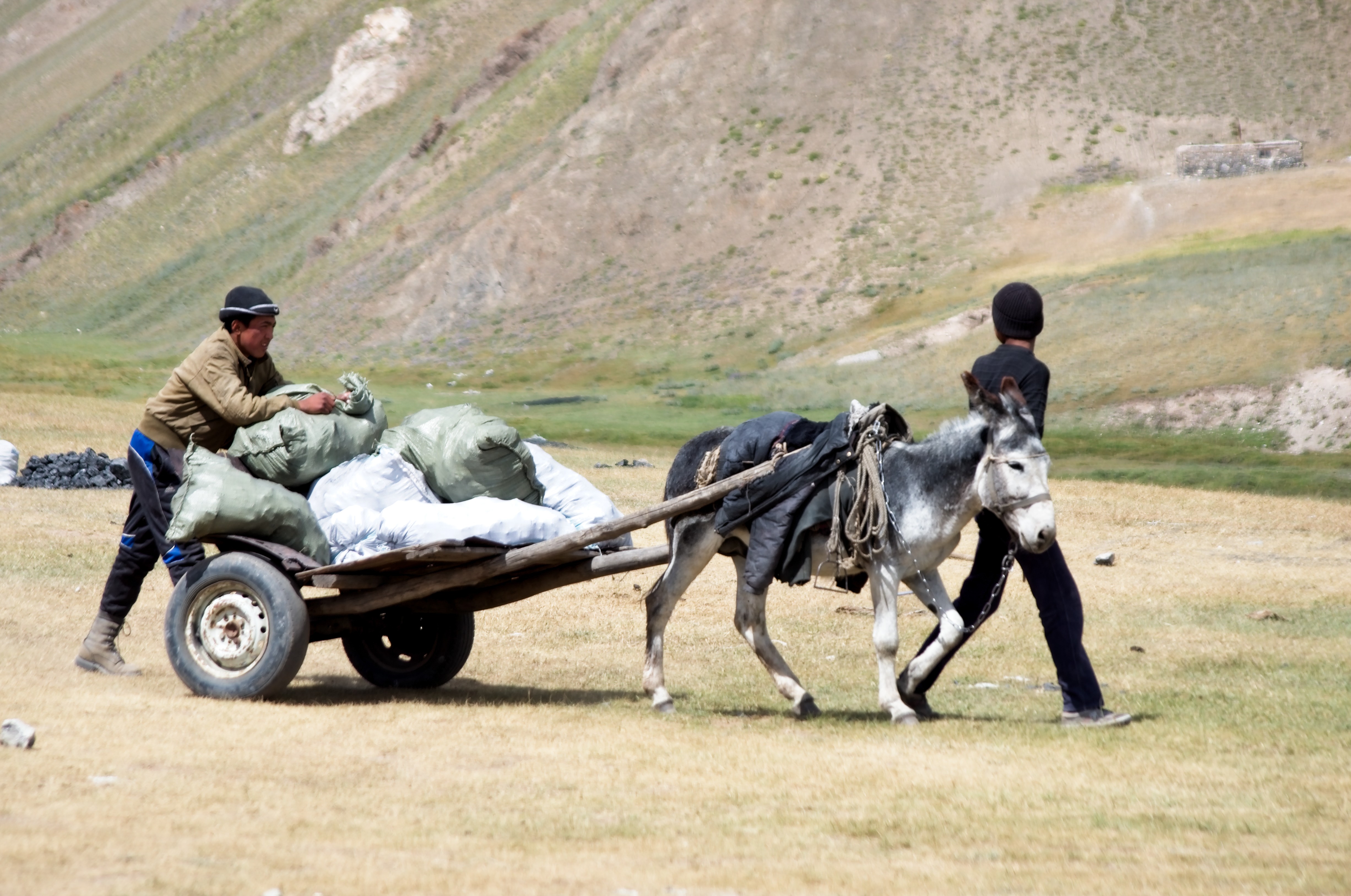 slag heap and summer pasture near Sary Moghul, 2012