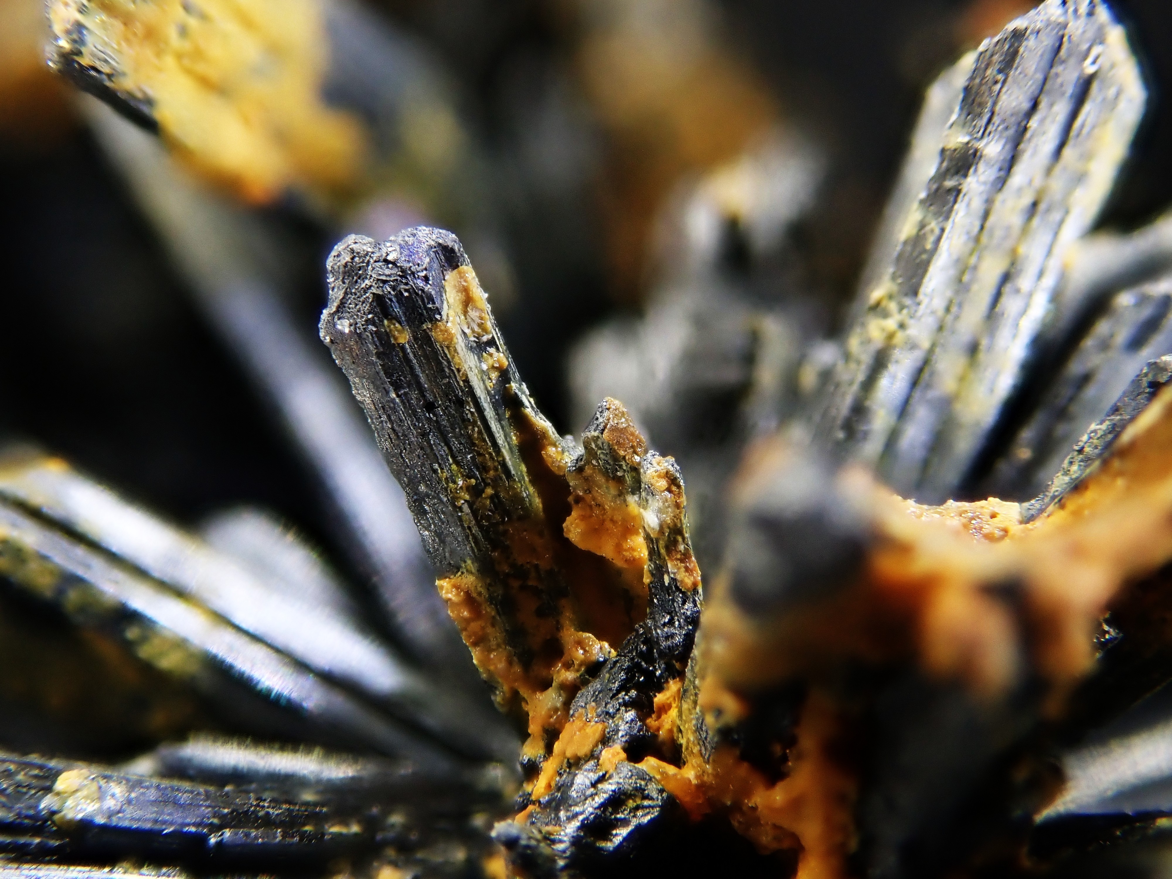 Stibnite, Poiana Botizii (Romania)