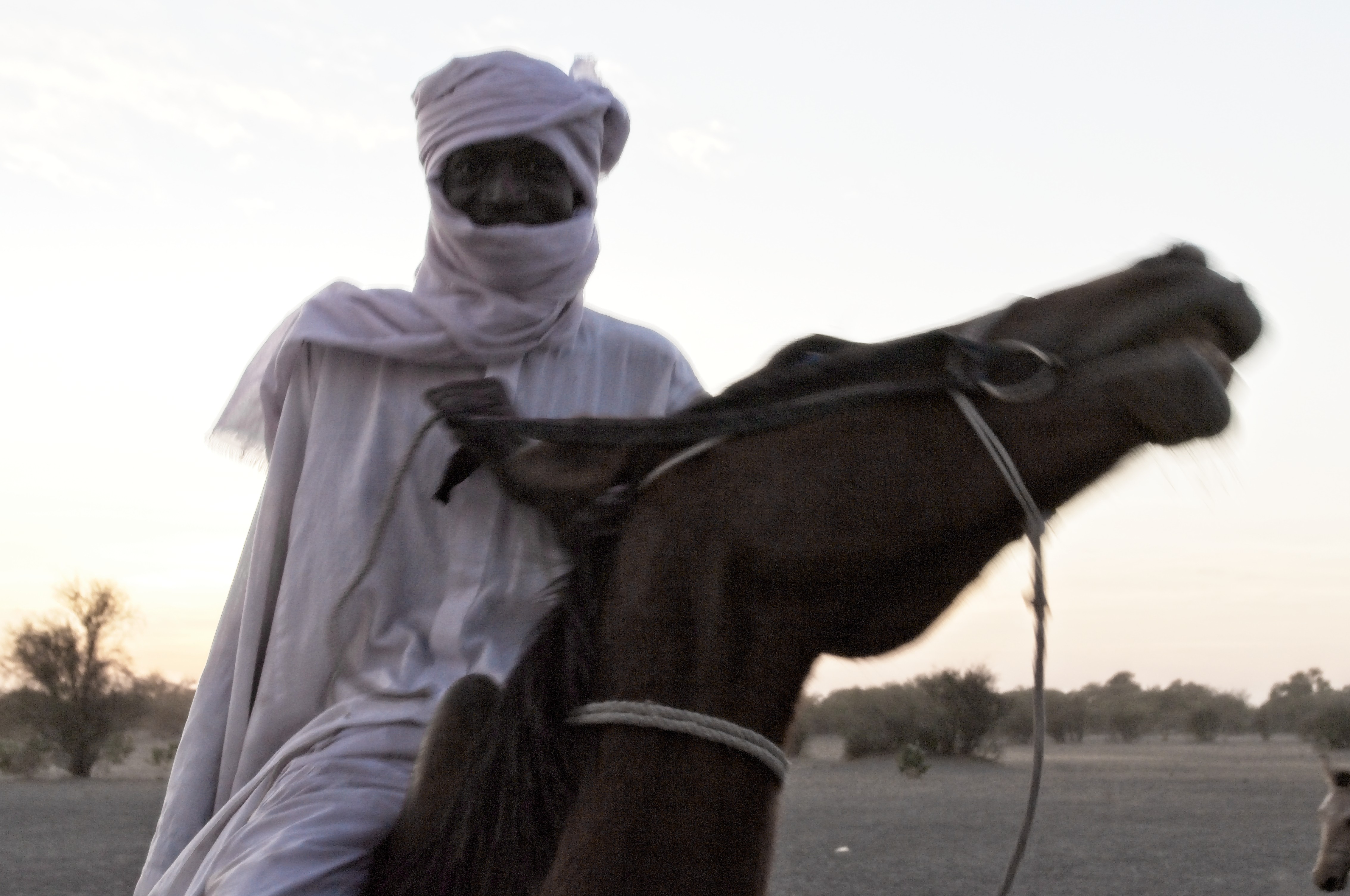 pastoralism and salt caravans in the Ennedi maasif and the central Chadian plains