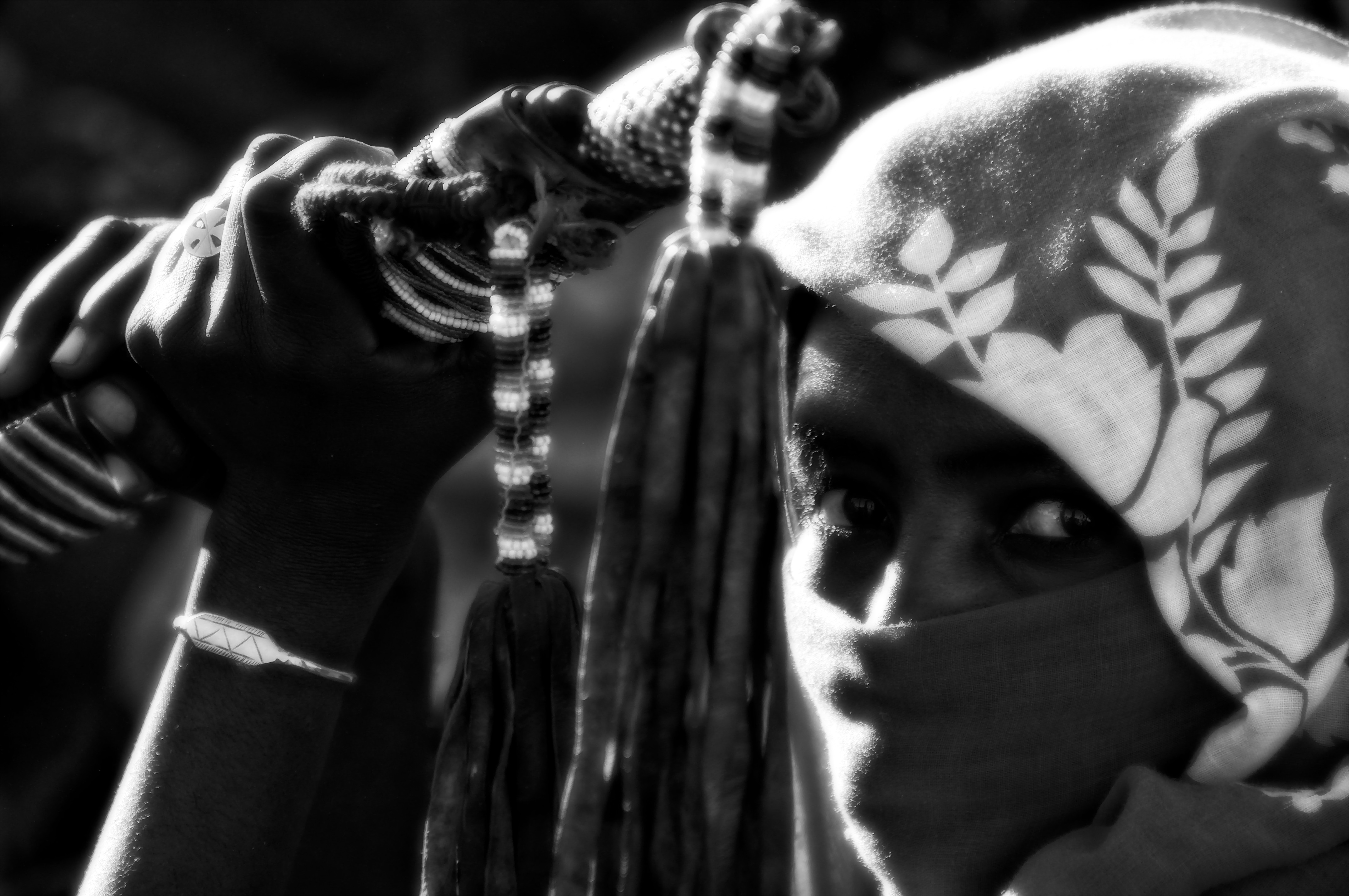 pastoralism and salt caravans in the Ennedi maasif and the central Chadian plains