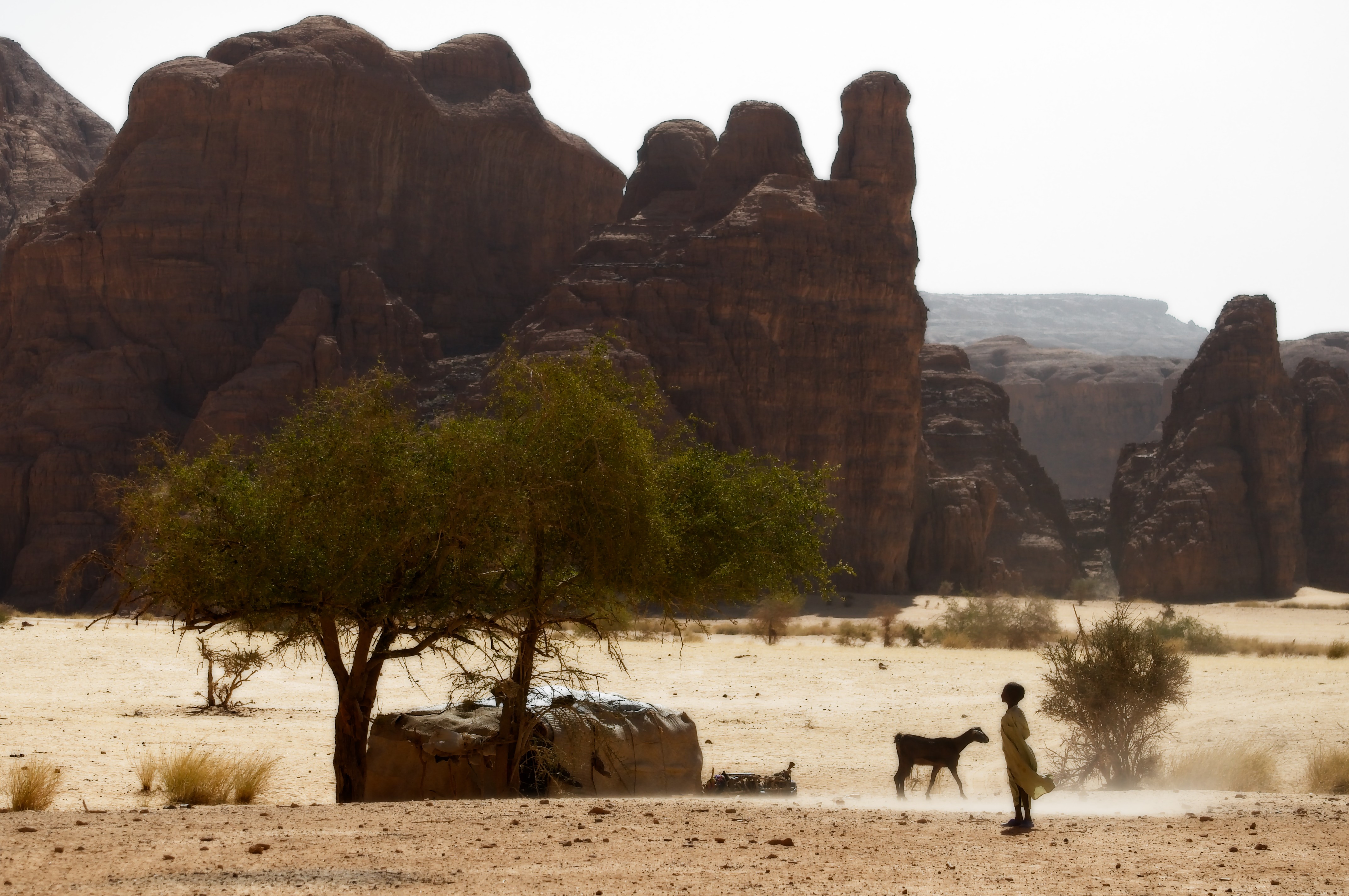 pastoralism and salt caravans in the Ennedi maasif and the central Chadian plains