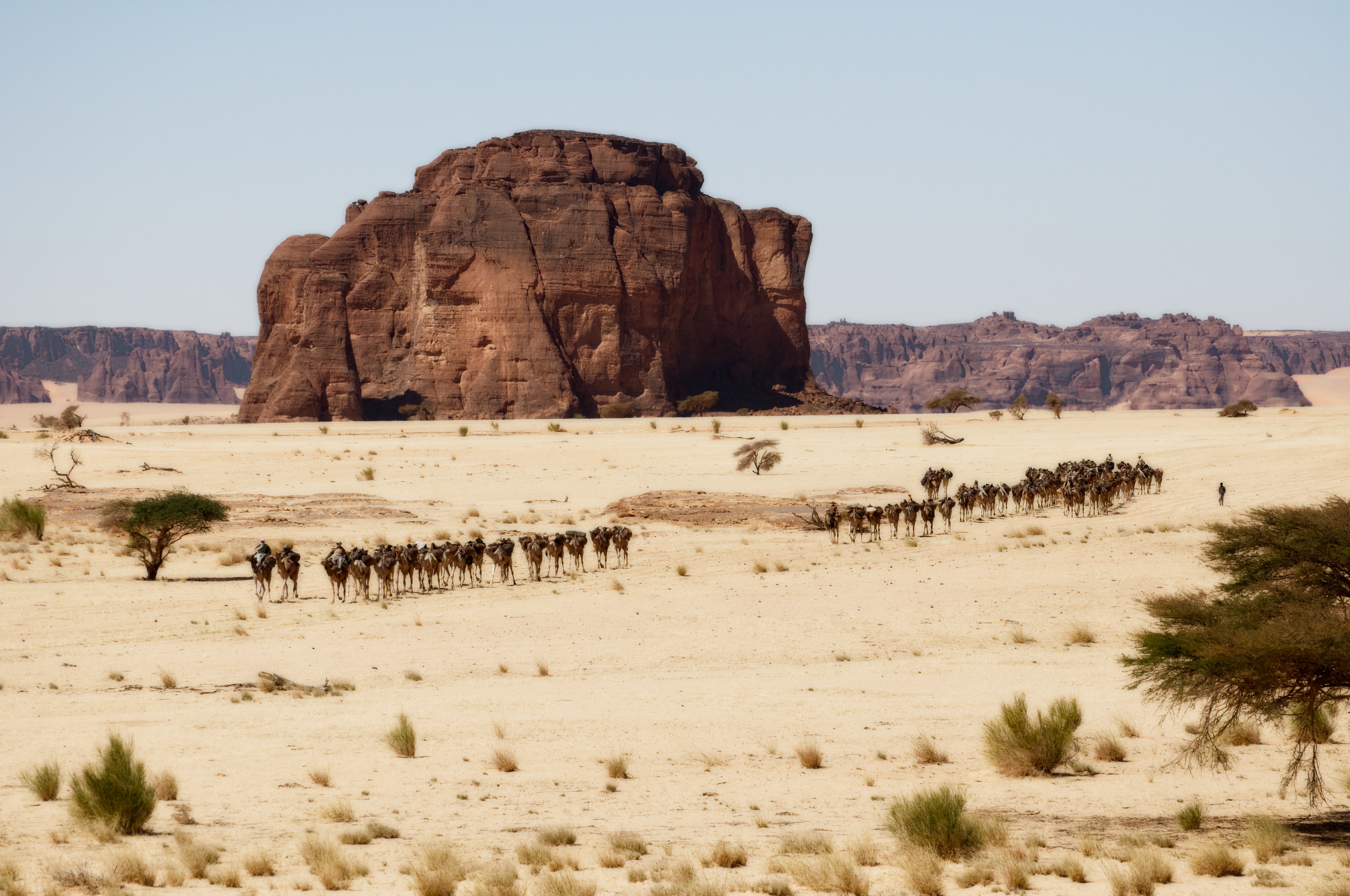 pastoralism and salt caravans in the Ennedi maasif and the central Chadian plains