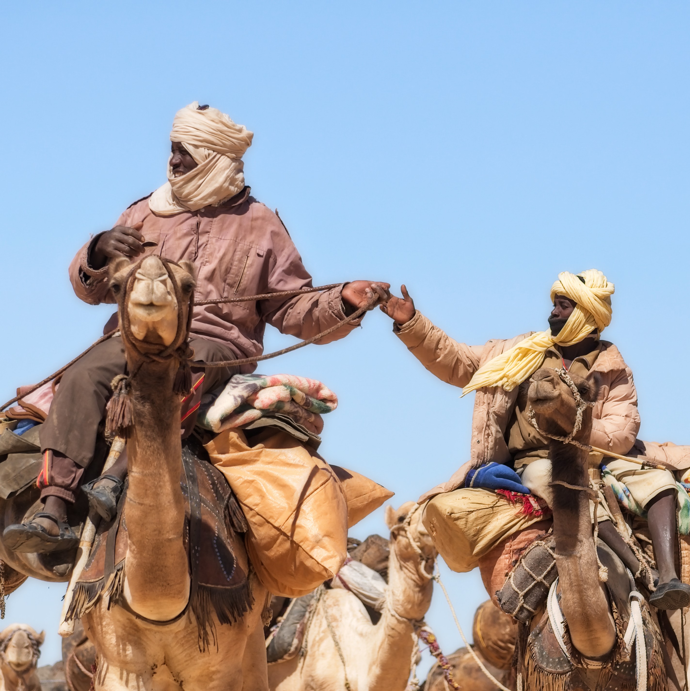 pastoralism and salt caravans in the Ennedi maasif and the central Chadian plains