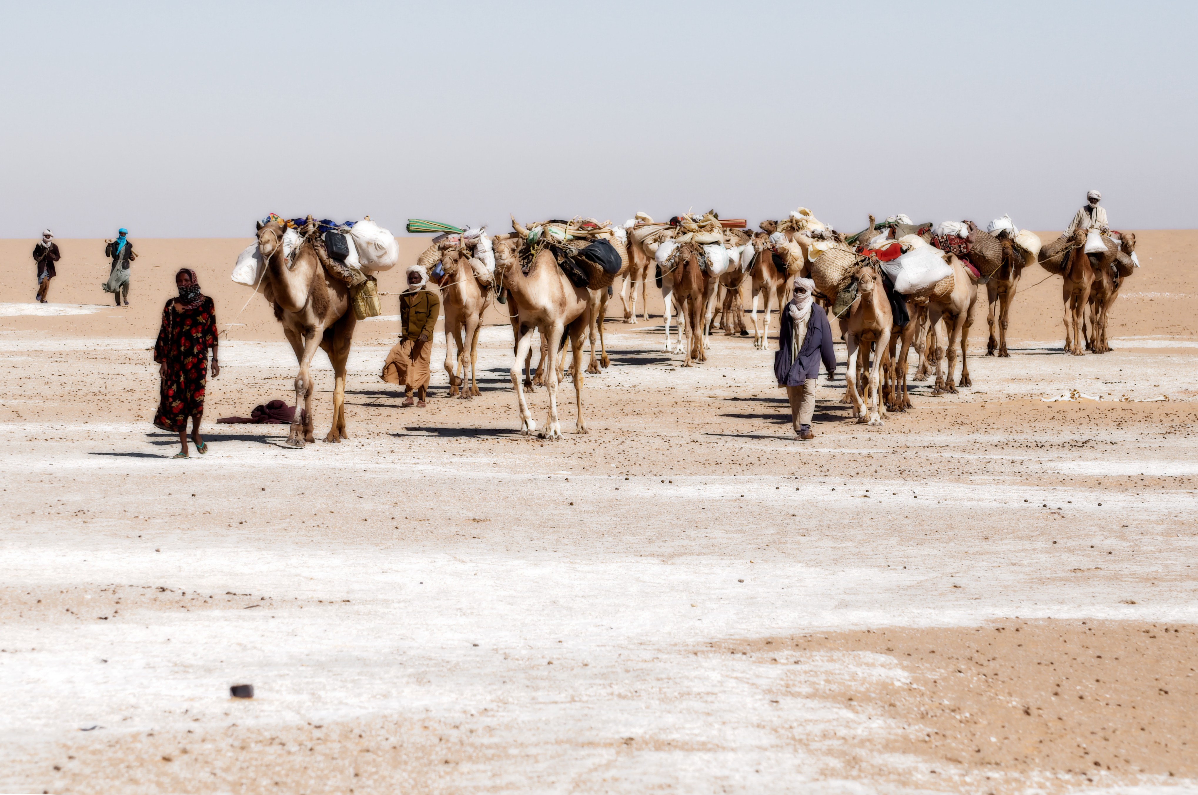 pastoralism and salt caravans in the Ennedi maasif and the central Chadian plains