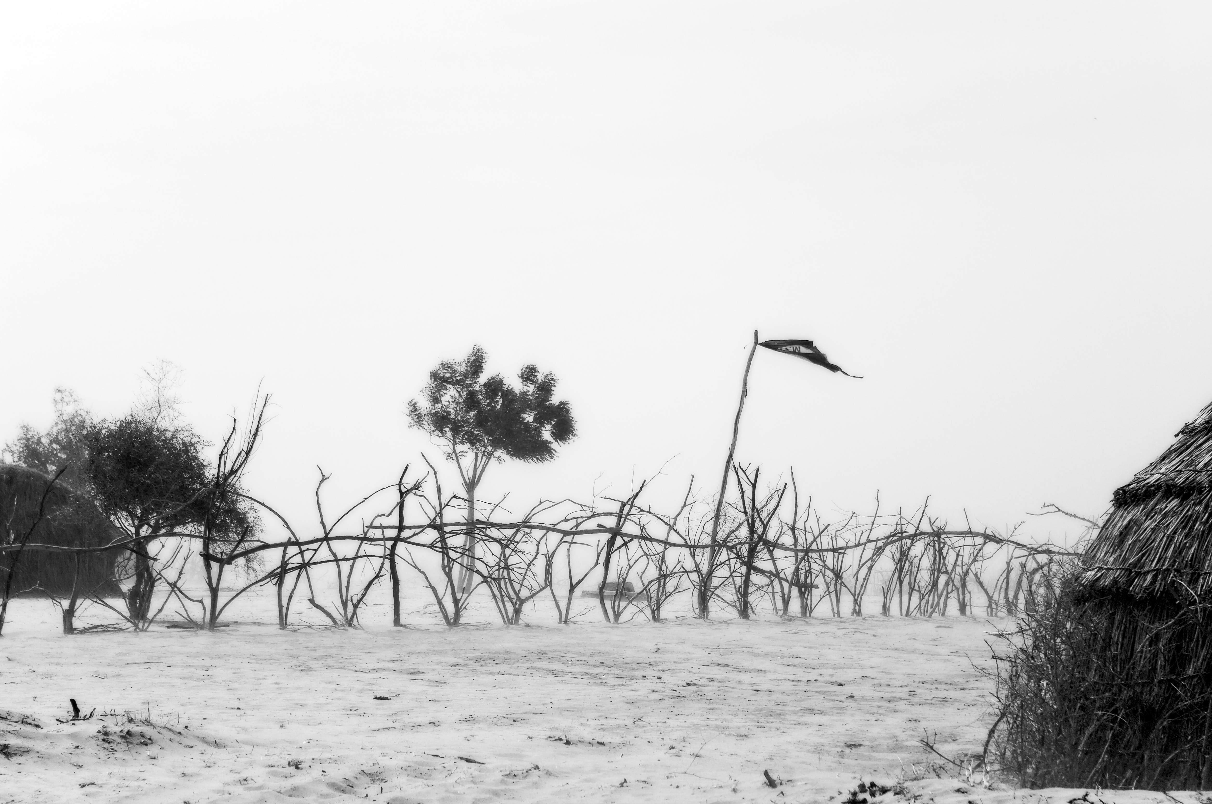 pastoralism and salt caravans in the Ennedi maasif and the central Chadian plains