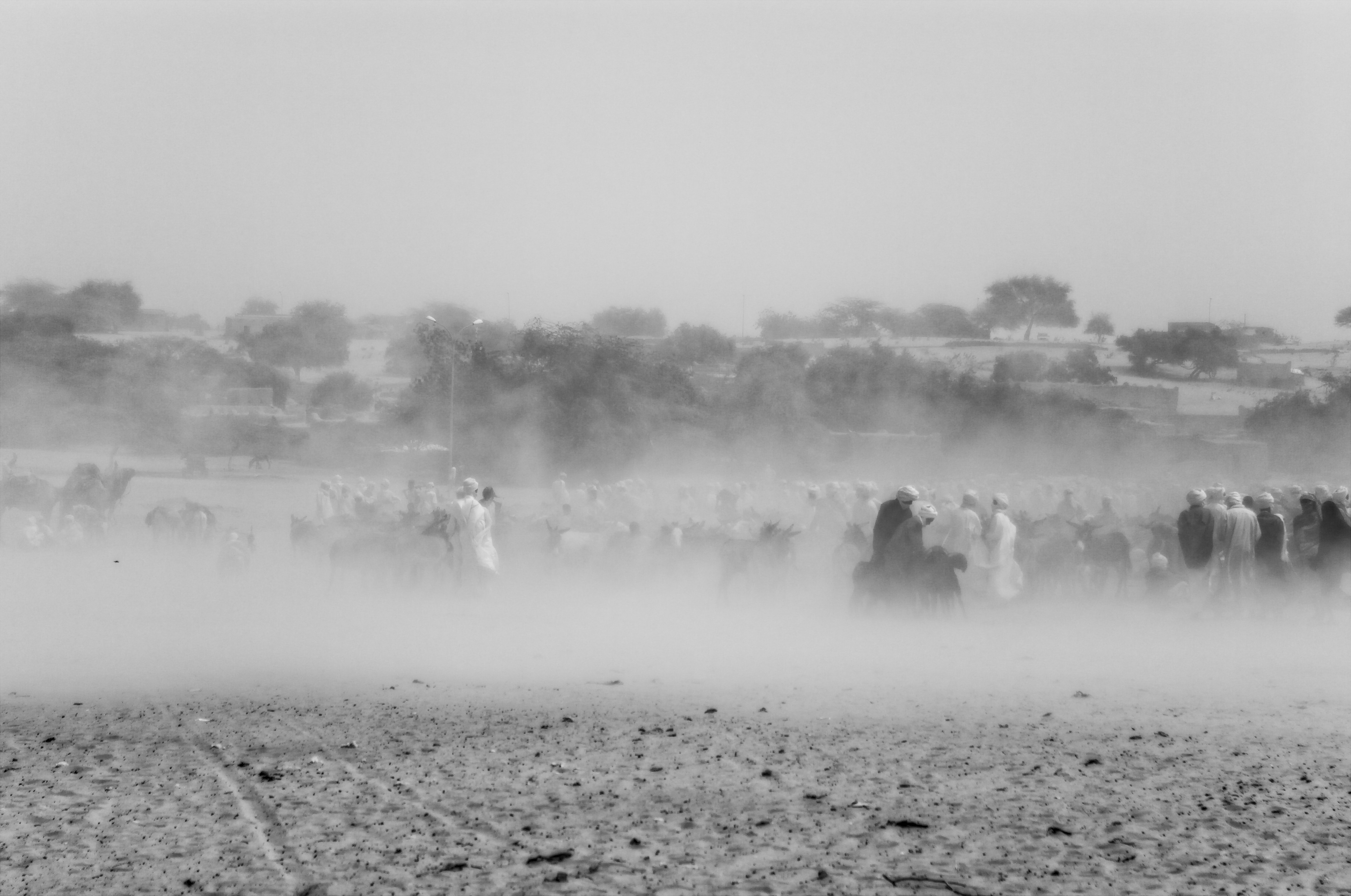 pastoralism and salt caravans in the Ennedi maasif and the central Chadian plains