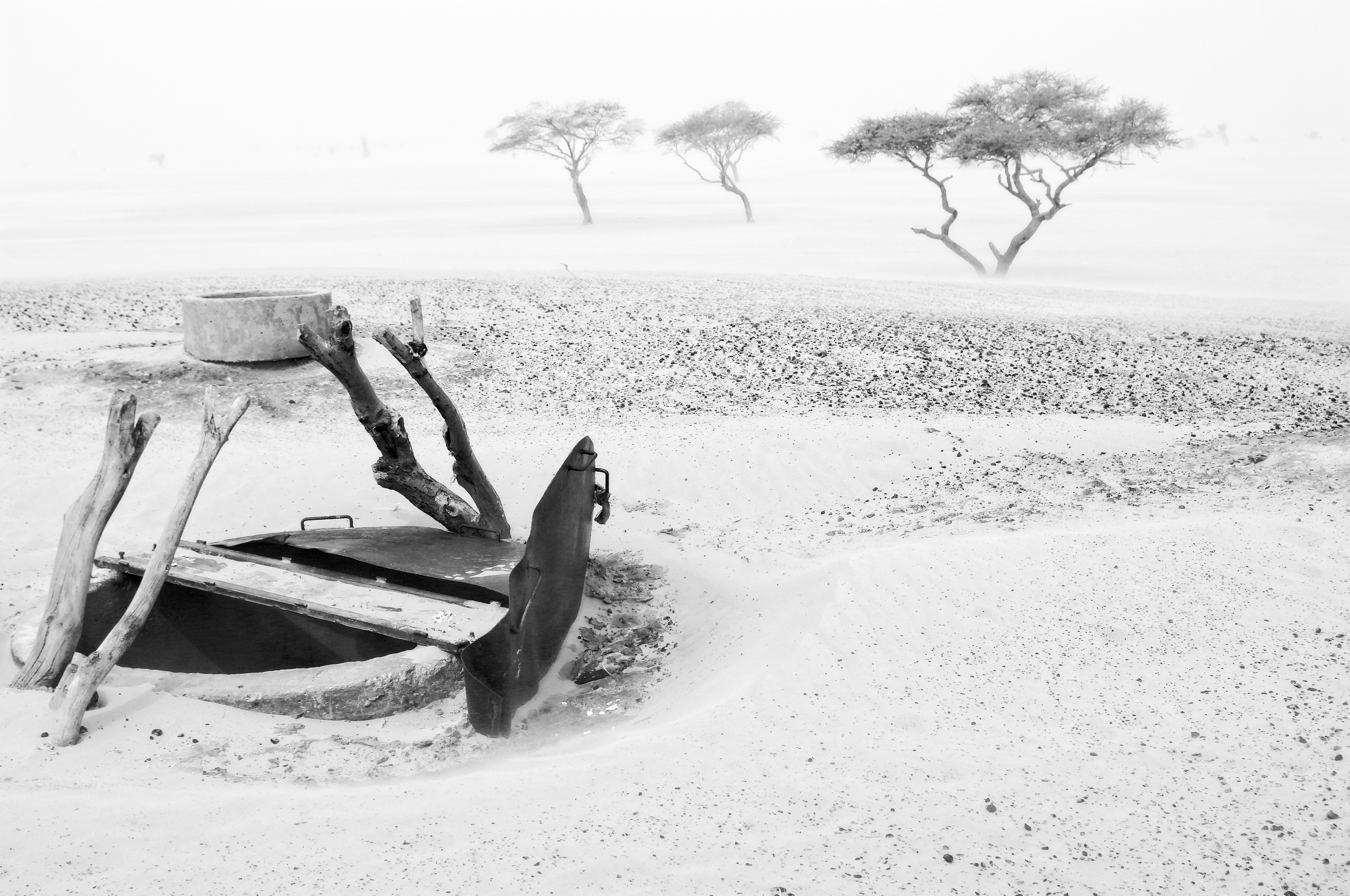 pastoralism and salt caravans in the Ennedi maasif and the central Chadian plains